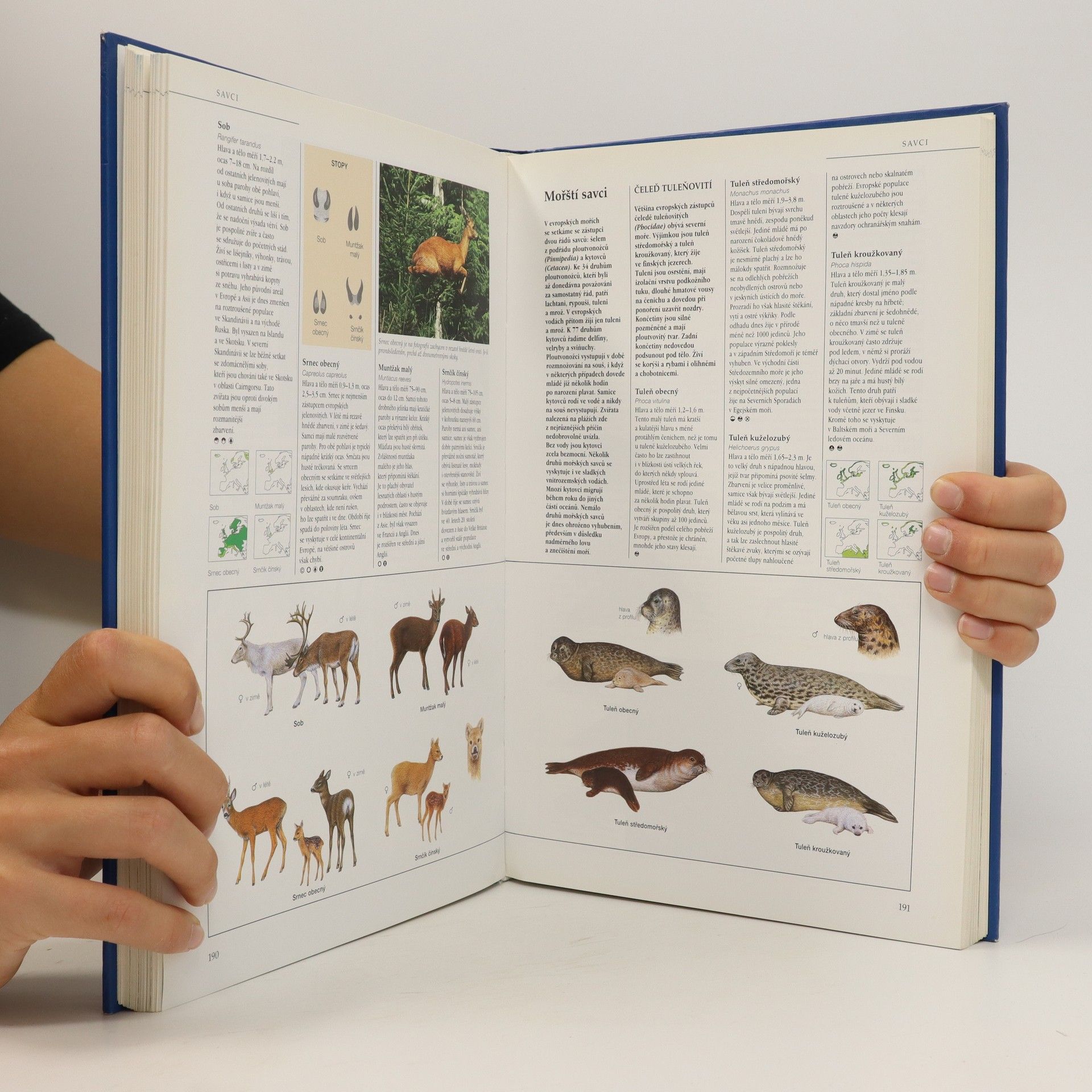 Michael Chinery Flóra a fauna Evropy