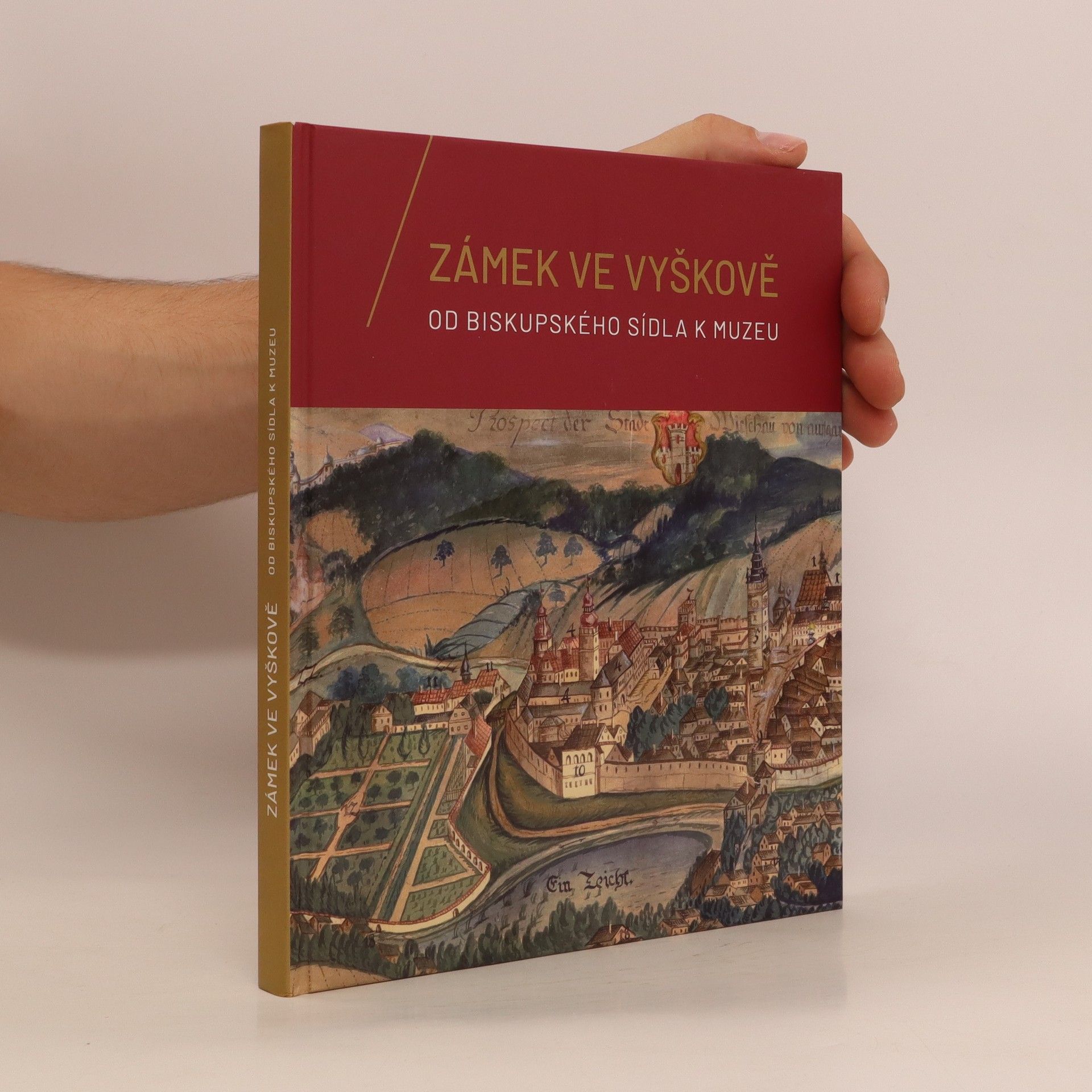 Autorenkollektiv Zámek ve Vyškově - Od biskupského sídla k muzeu