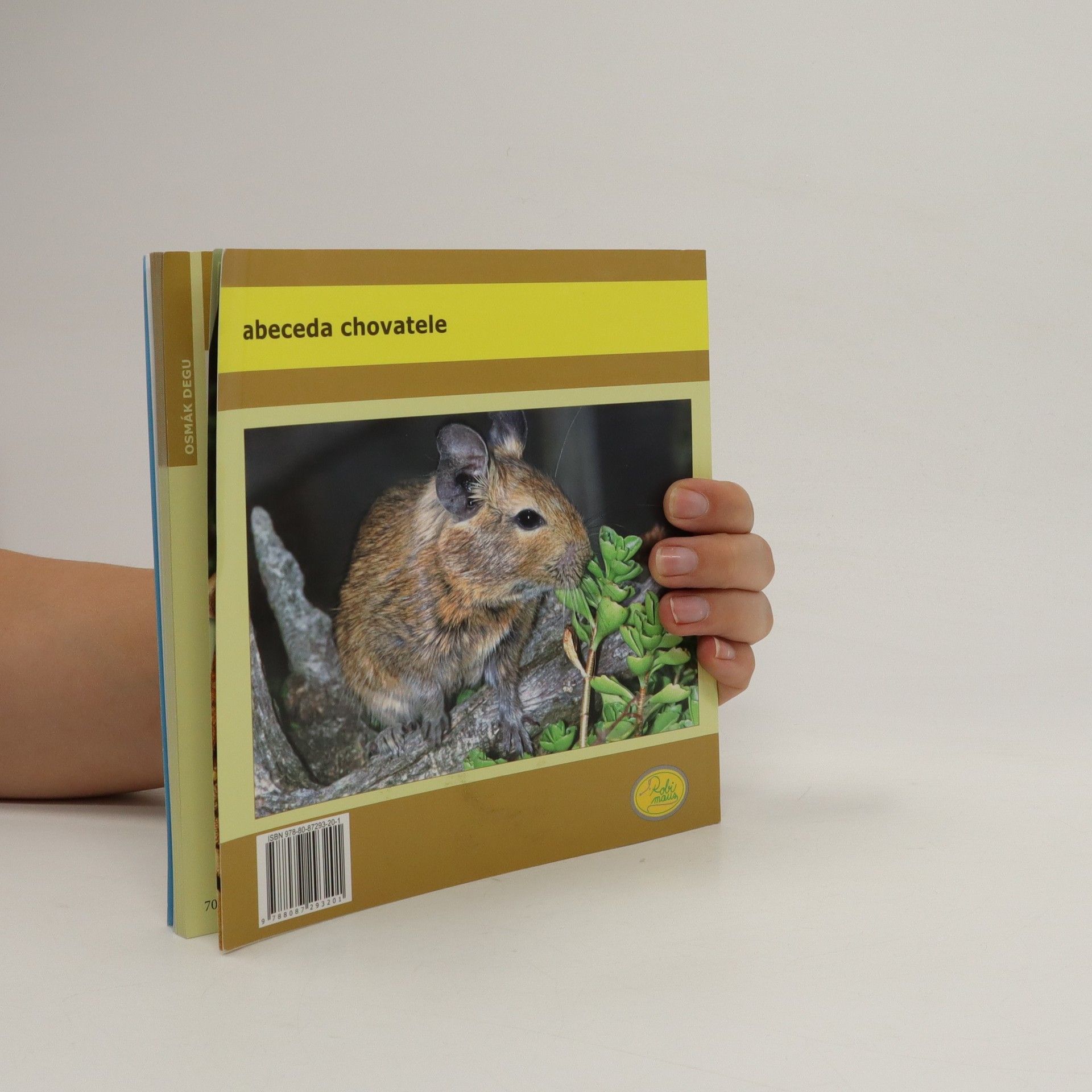Hana Motyčková Osmák degu