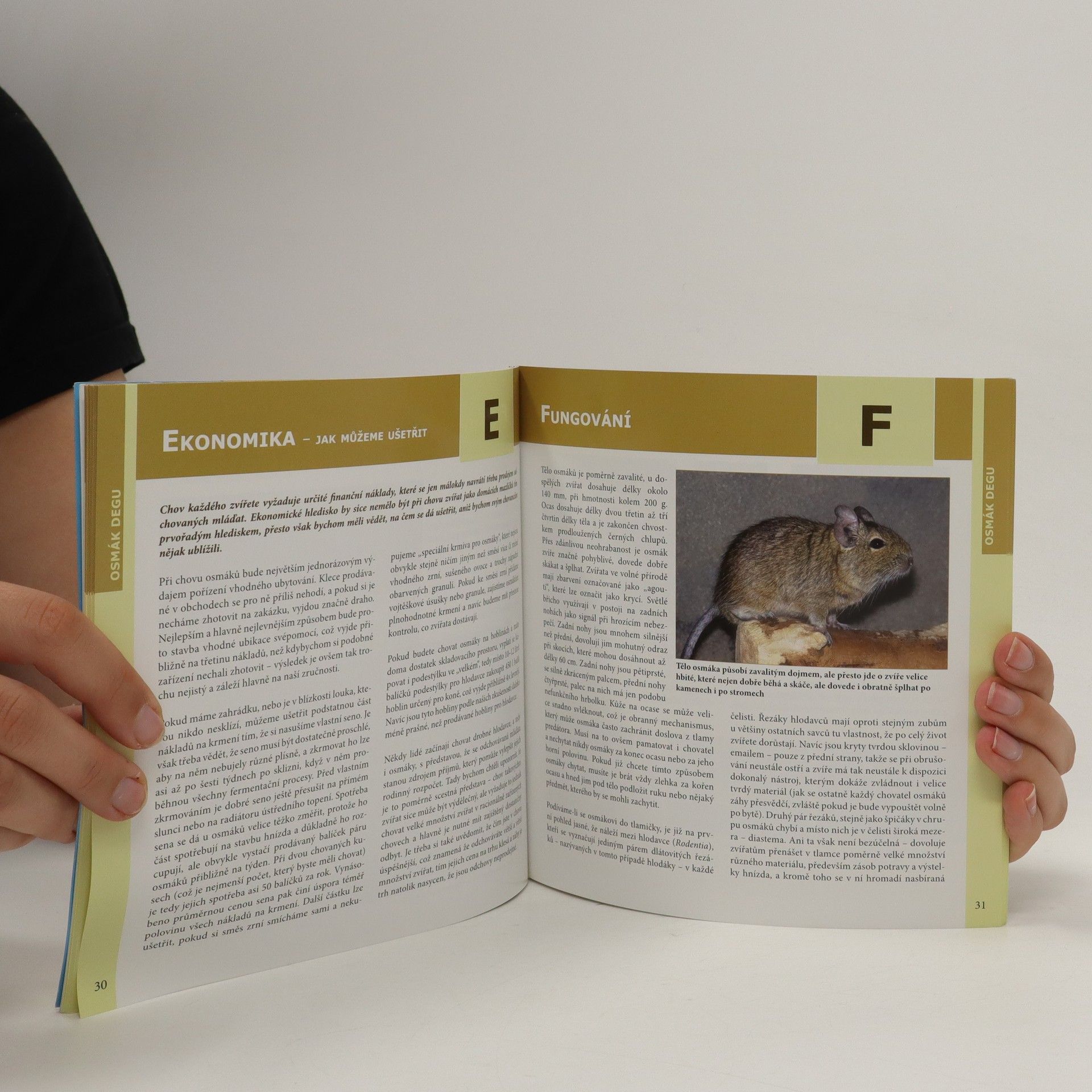 Hana Motyčková Osmák degu
