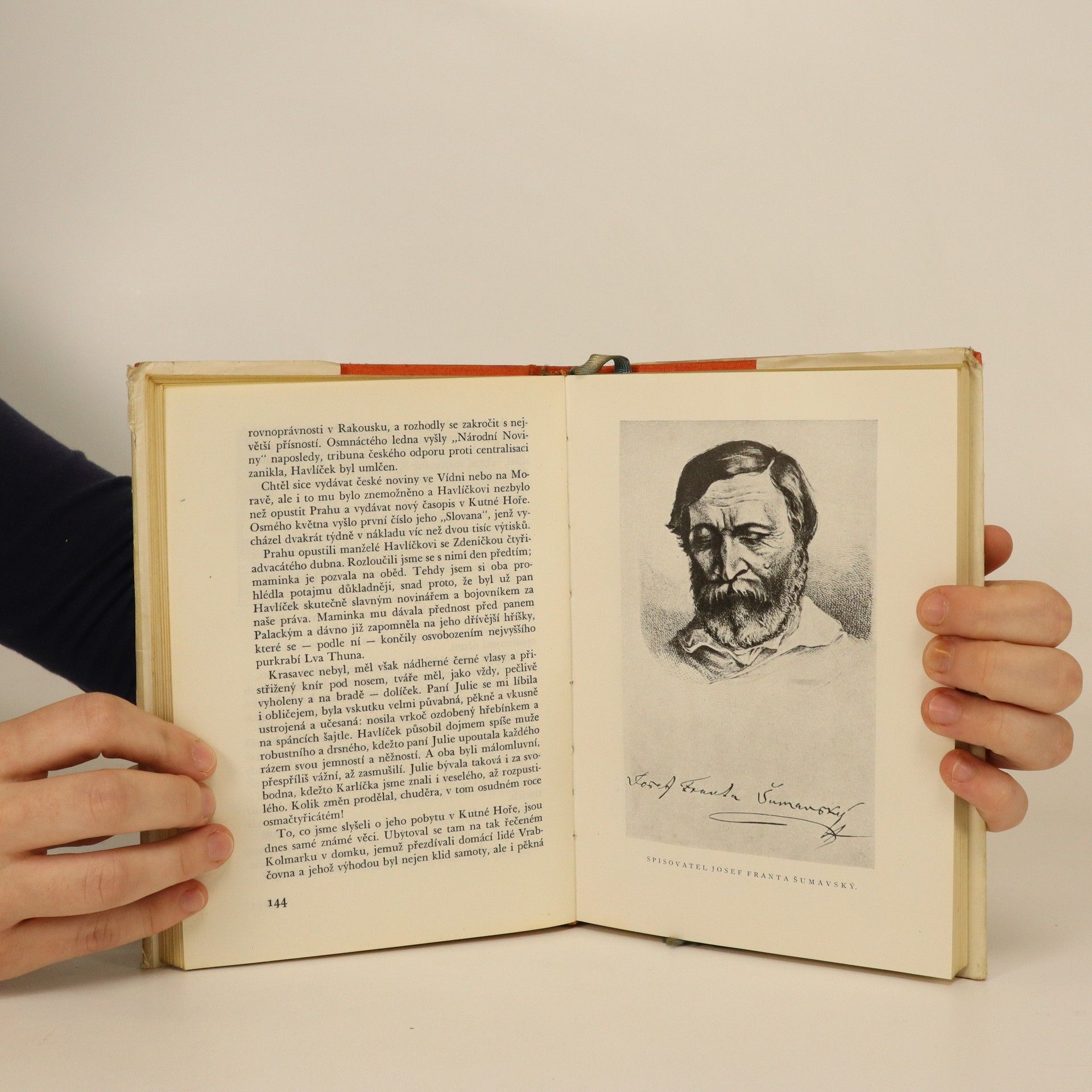Šmejkal J. V. Josefa a Josefina 2. Mánesova Josefina