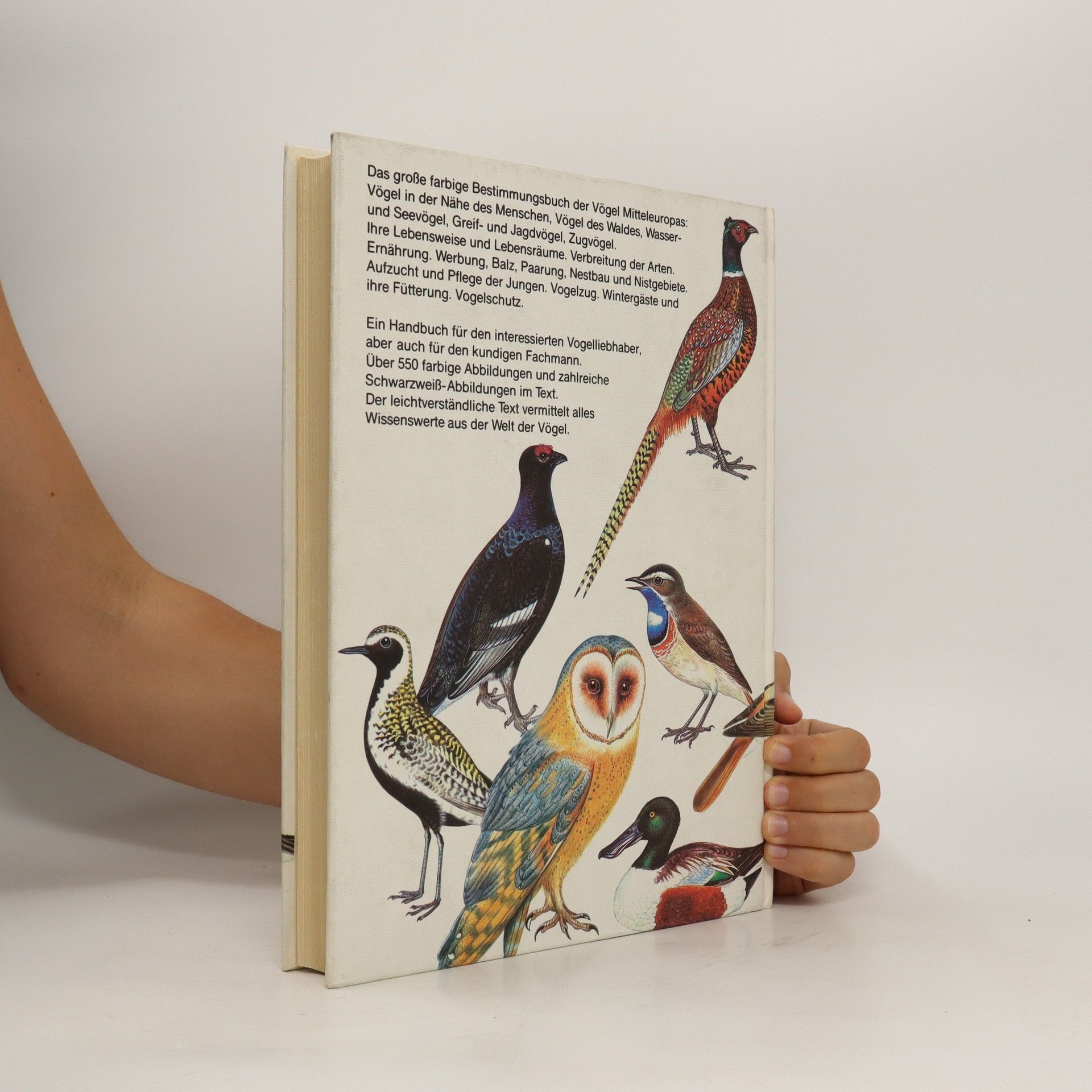 Jiří Felix Das große Vogelbuch in Farbe