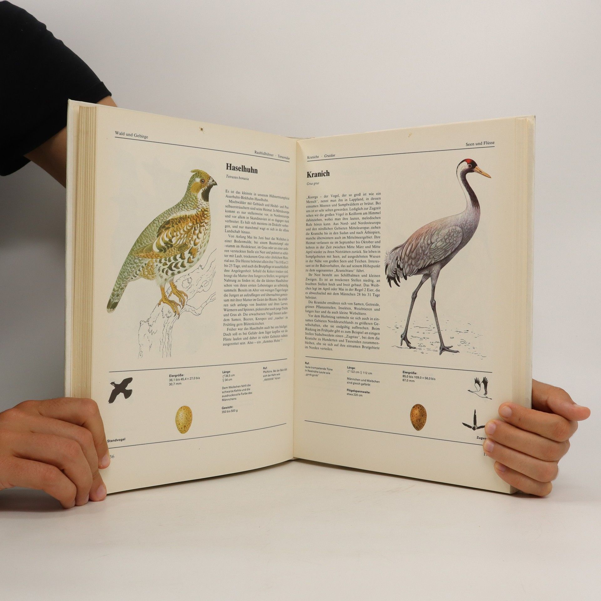 Jiří Felix Das große Vogelbuch in Farbe