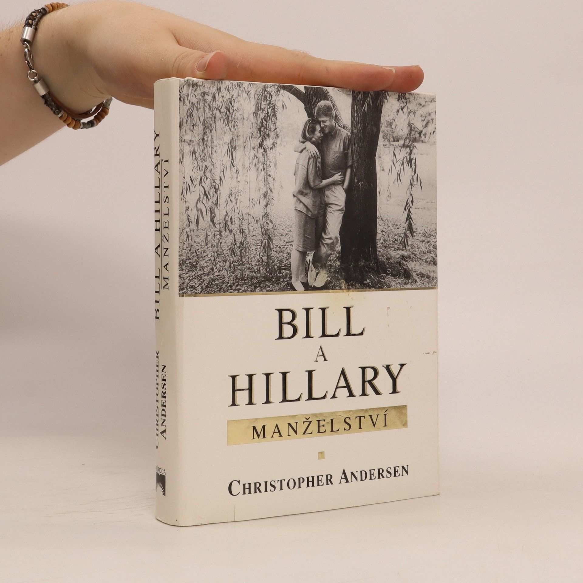 Christopher Andersen Bill a Hillary: manželství