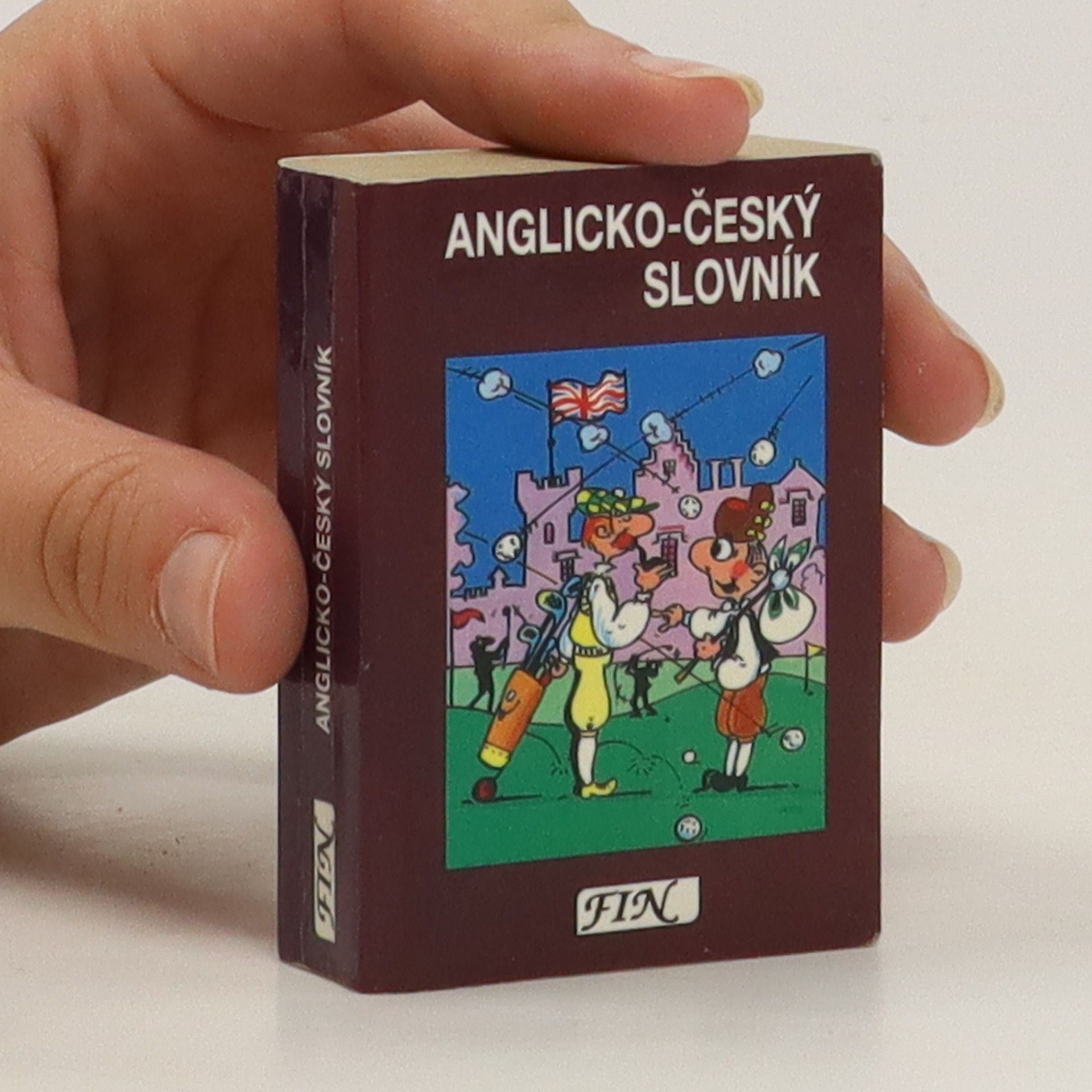 kolektiv Anglicko-český slovník