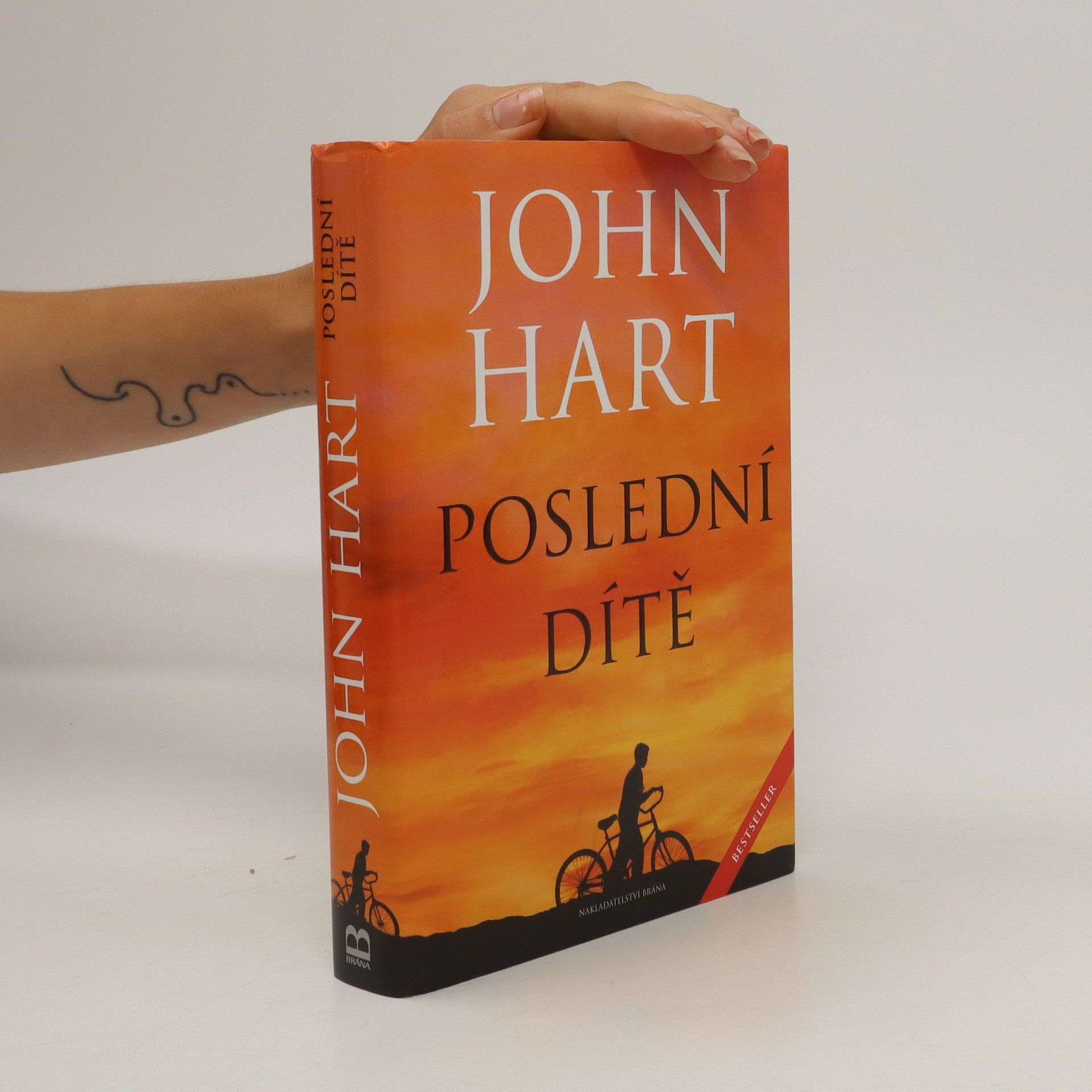 John Hart Poslední dítě