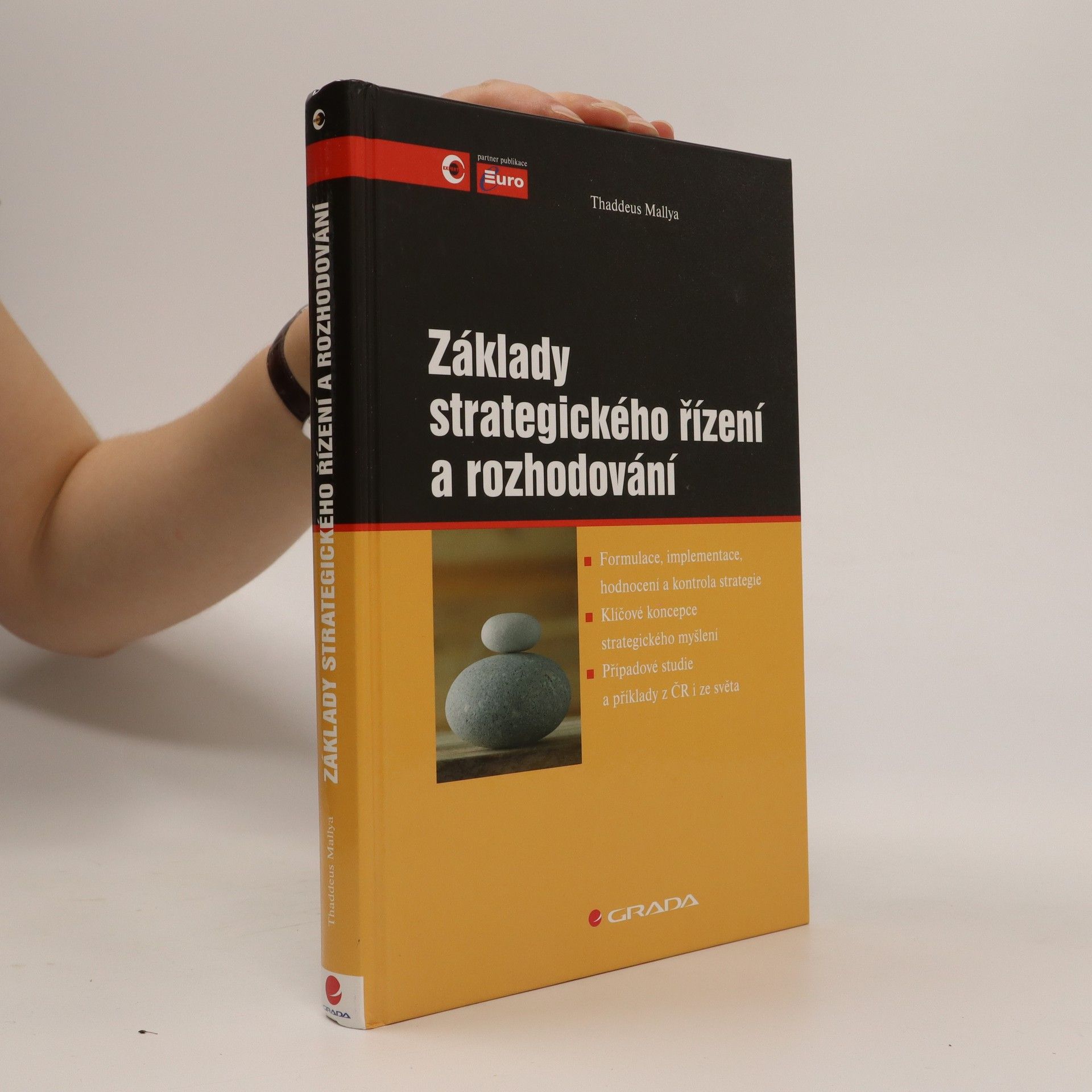 Thaddeus Mallya Základy strategického řízení a rozhodování