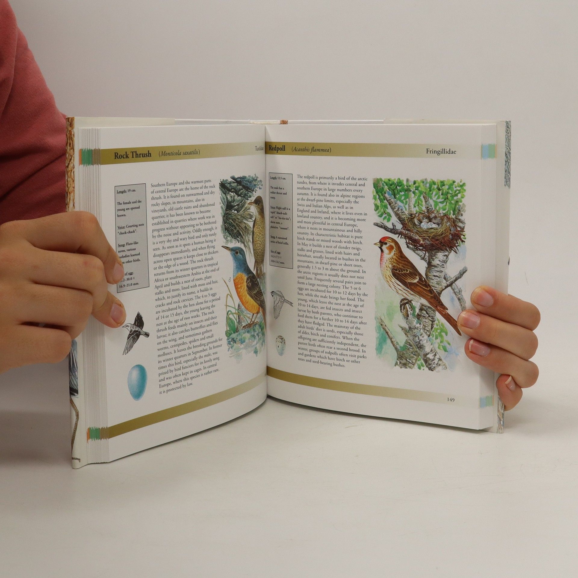 Jiří Felix Birds of Great Britain and Europe : a bird spotter's guide