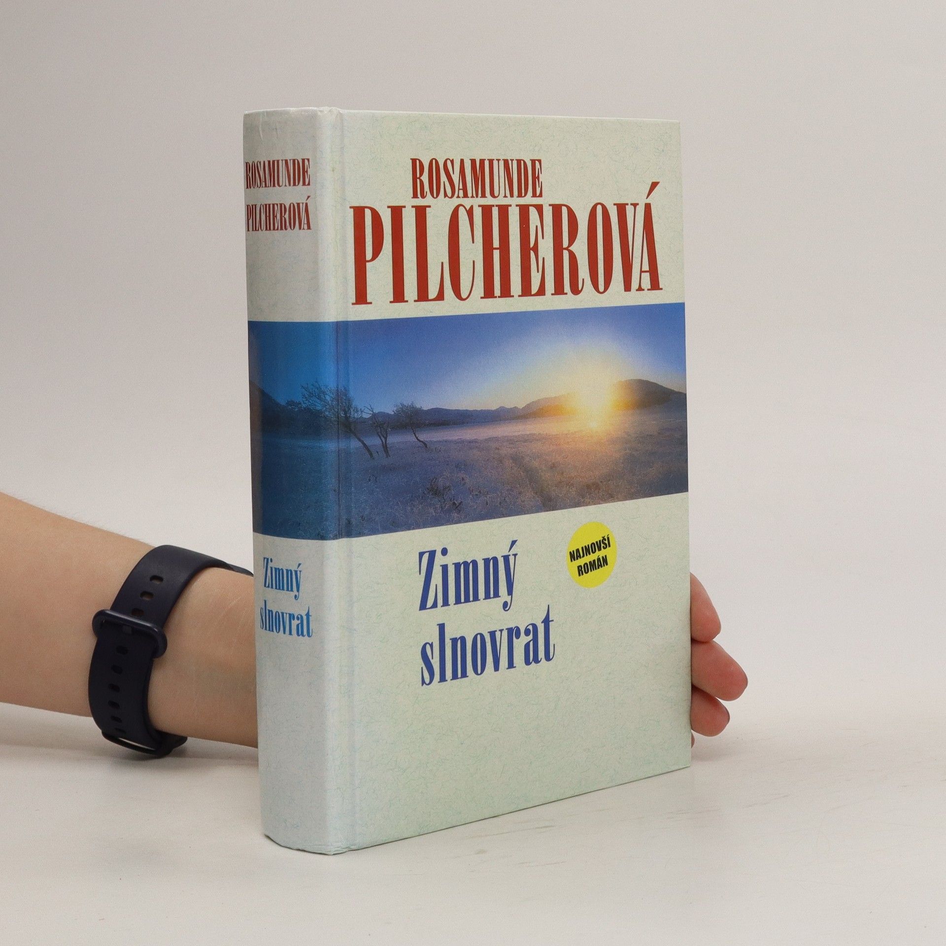 Rosamunde Pilcher Zimný slnovrat