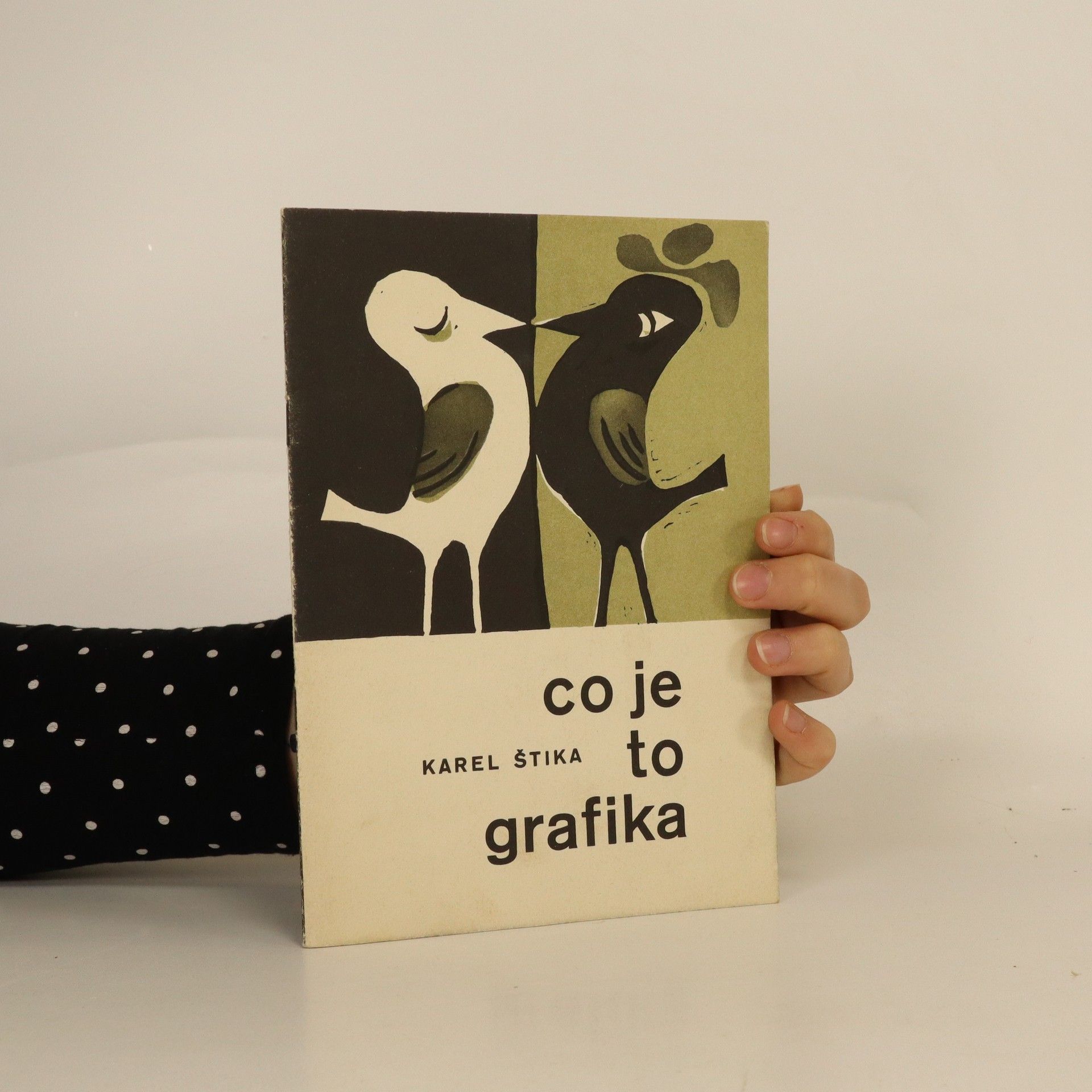 Karel Štika Co je to grafika