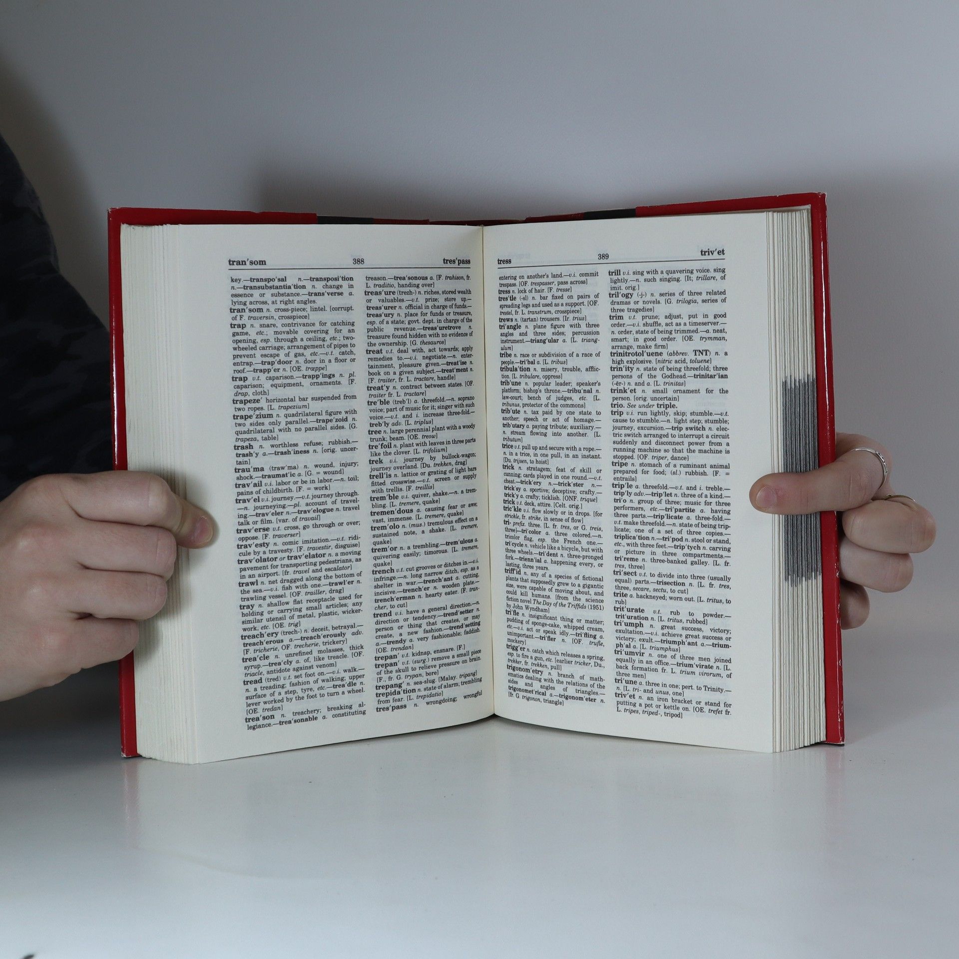Autorenkollektiv Webster's Dictionary and Thesaurus