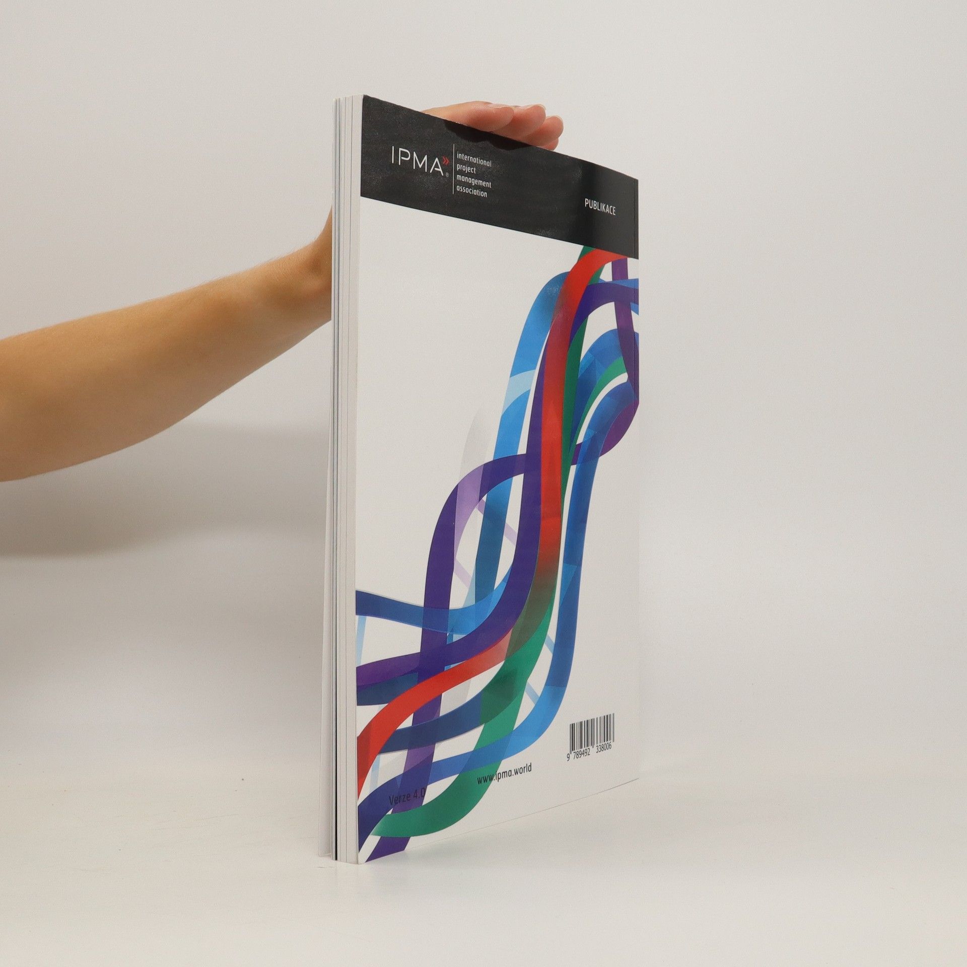 Autorenkollektiv Mezinárodní standard projektového řízení podle IPMA ICB v.4