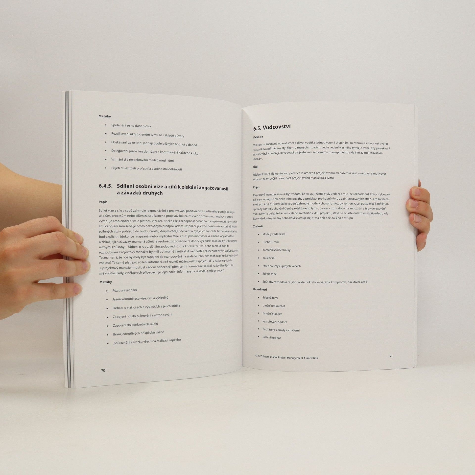 Autorenkollektiv Mezinárodní standard projektového řízení podle IPMA ICB v.4