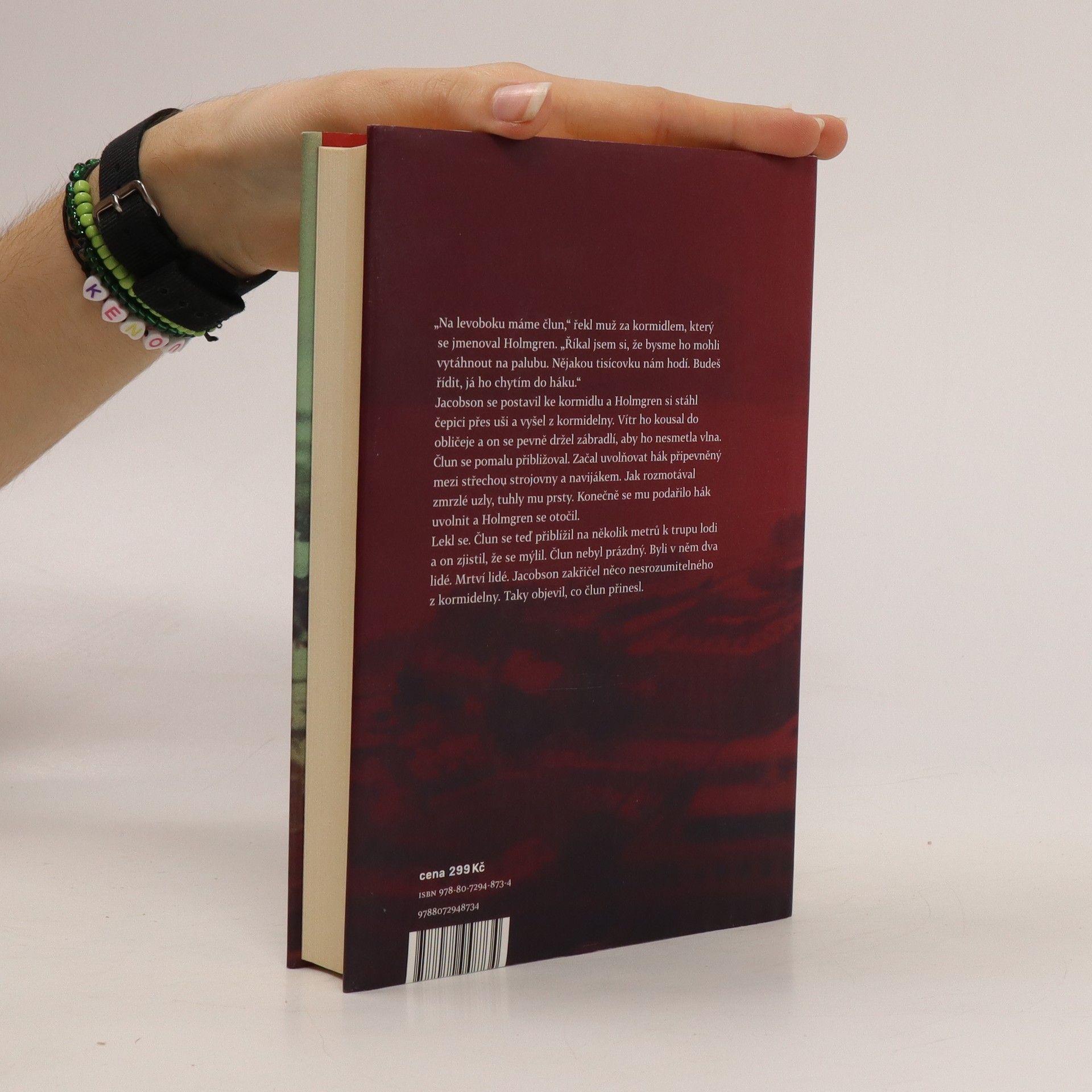 Henning Mankell Psi z Rigy