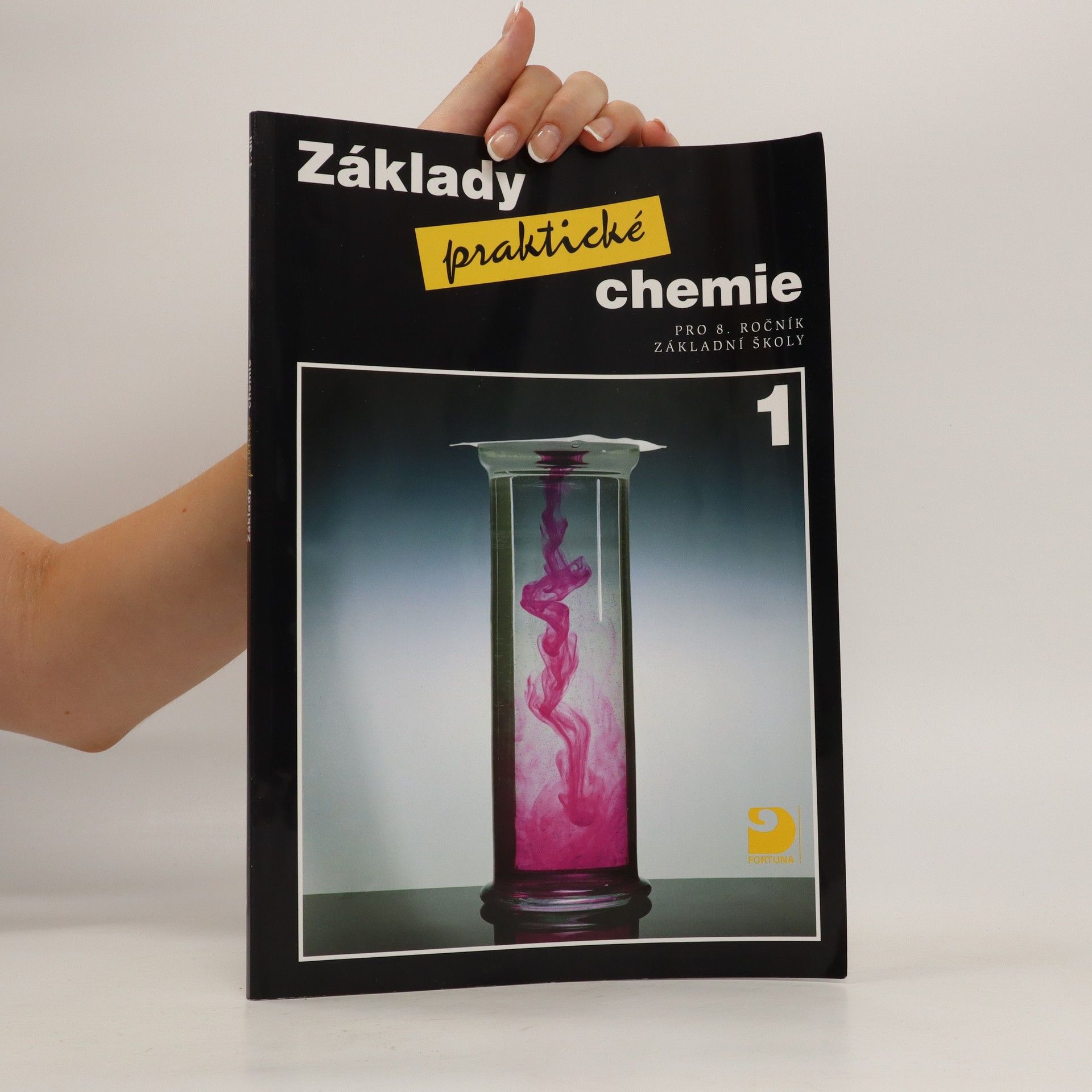 Auteurscollectief Základy praktické chemie pro 8. ročník základní školy
