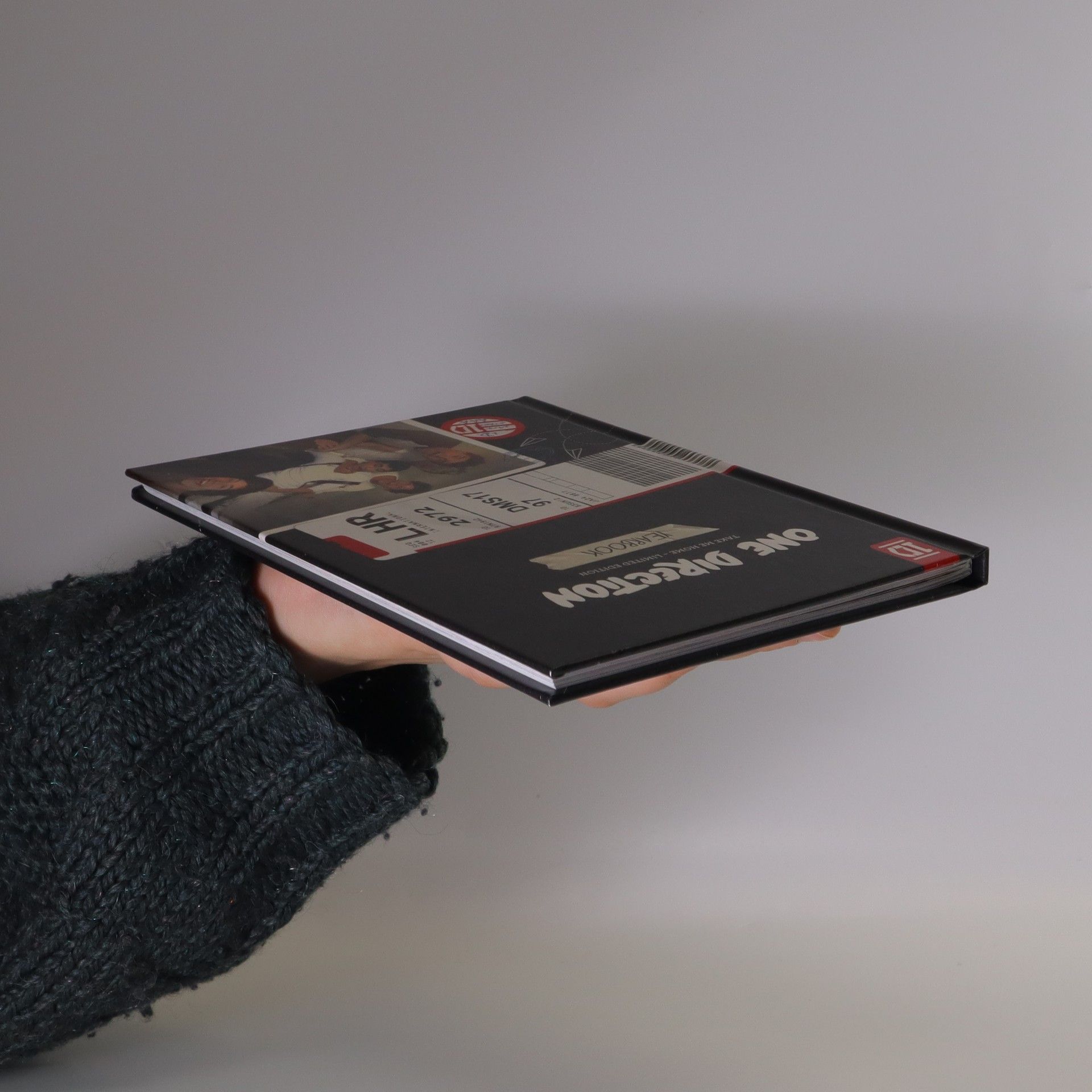 Autorenkollektiv One Direction. Take Me Home (limited edition, yearbook)