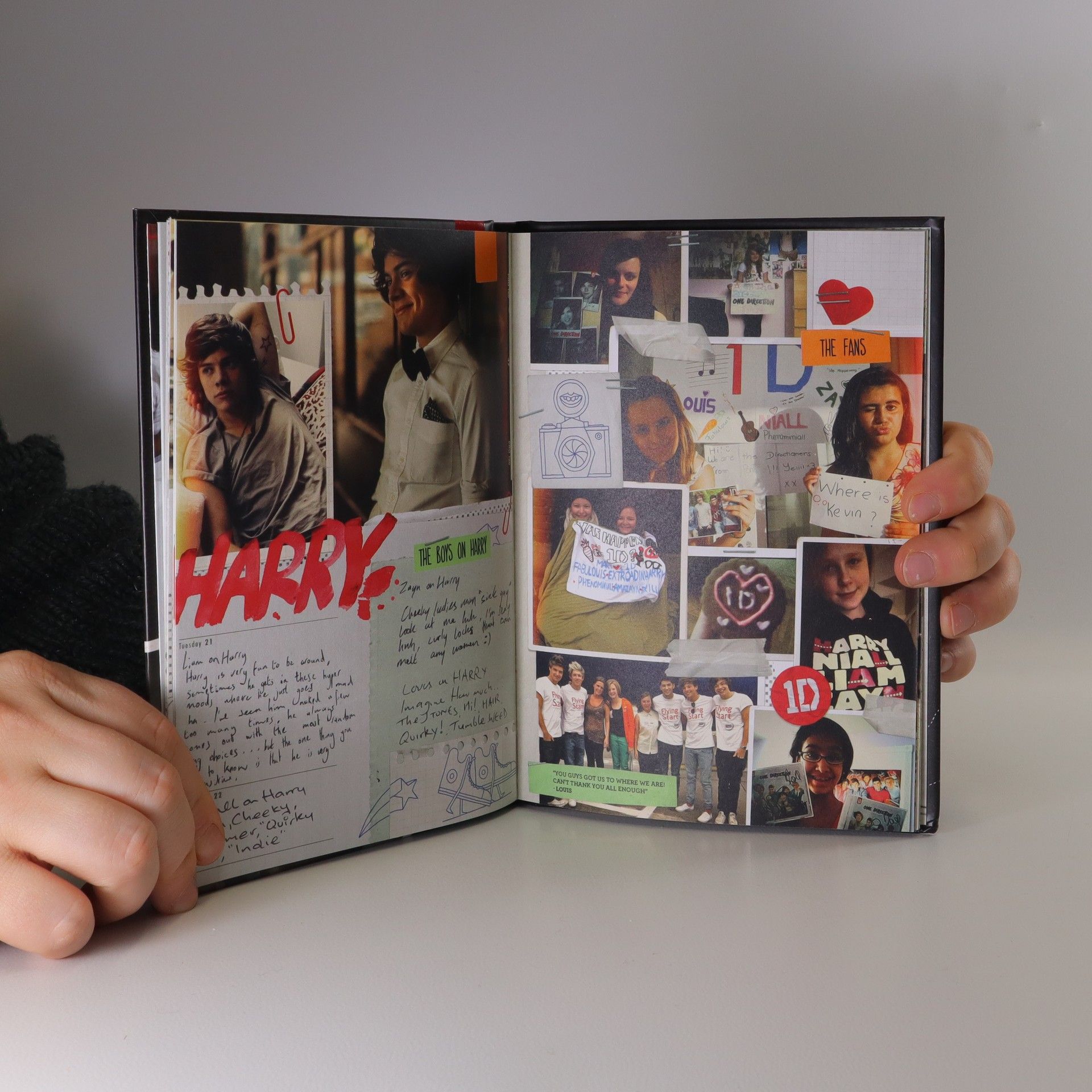 Autorenkollektiv One Direction. Take Me Home (limited edition, yearbook)
