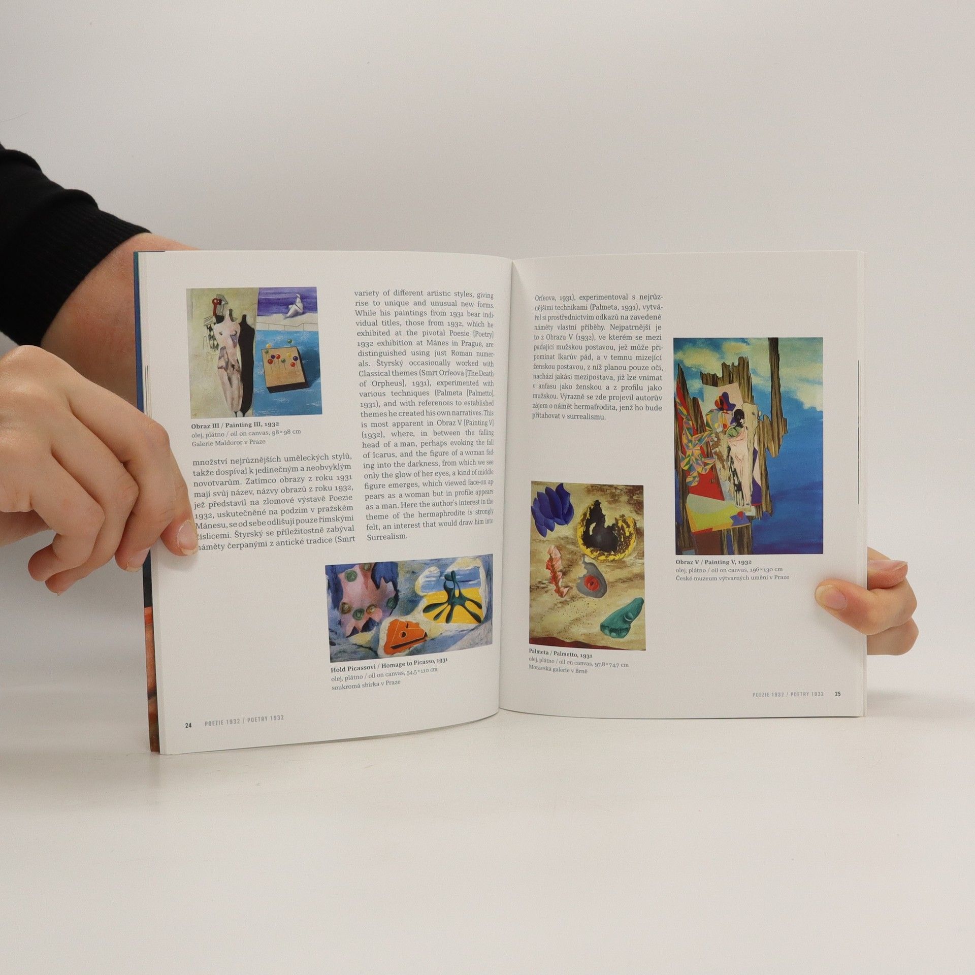 Karel Srp Jindřich Štyrský (katalog)