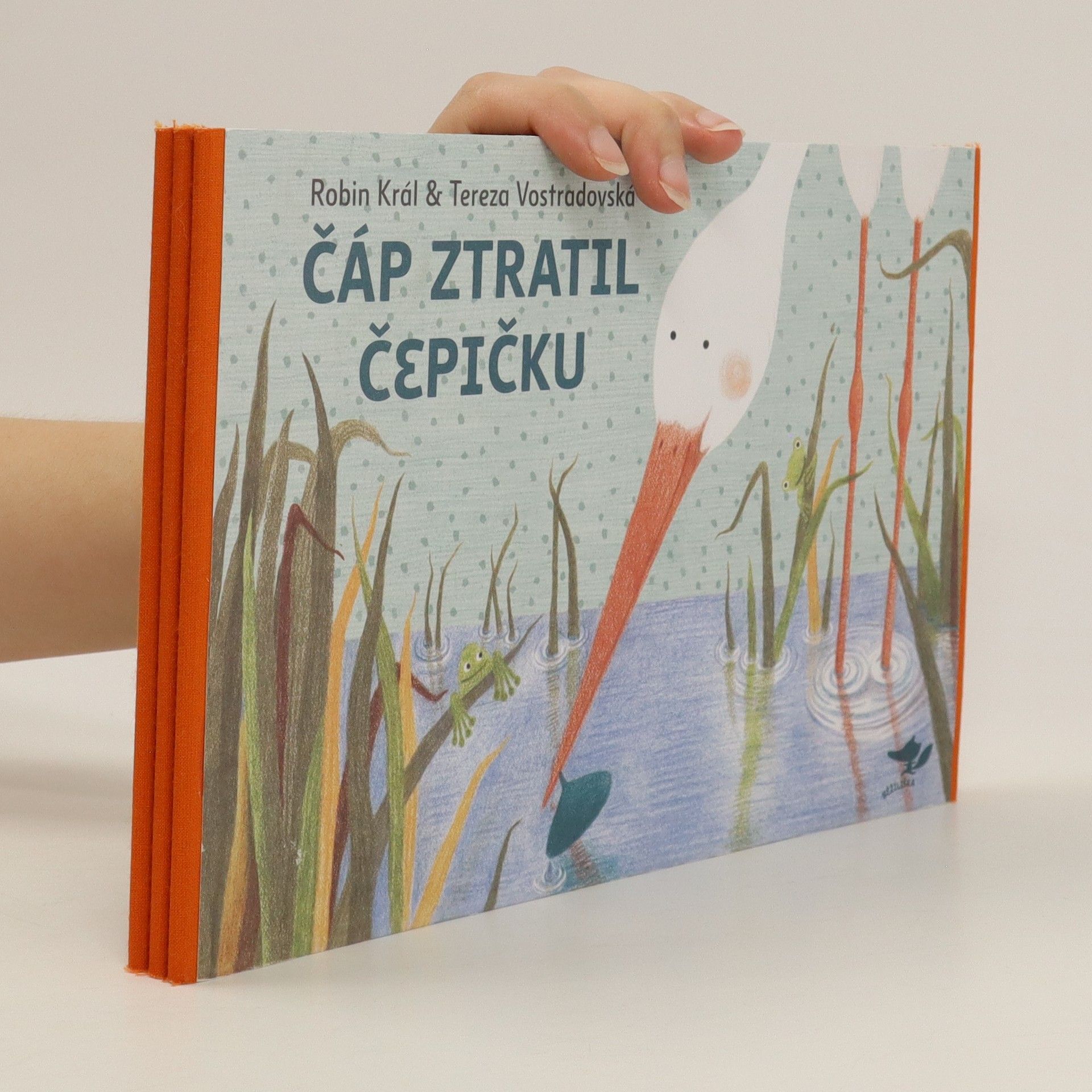 Robin Král Čáp ztratil čepičku