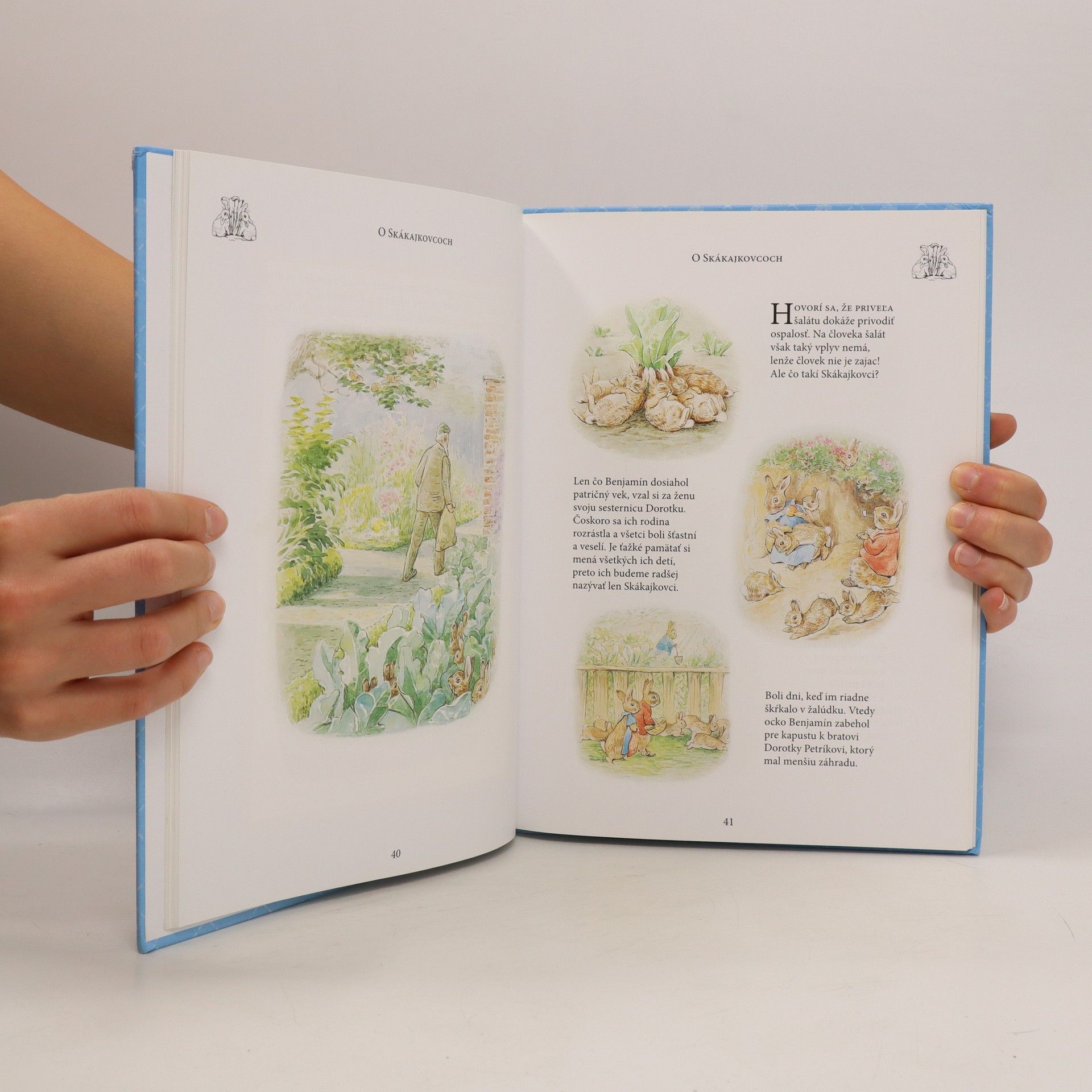 Beatrix Potter Dobrodružstvá zajačika Petríka