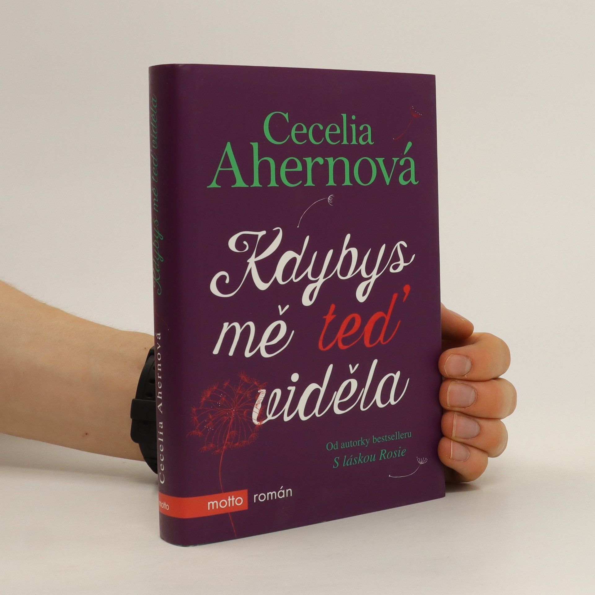 Cecelia Ahern Kdybys mě teď viděla
