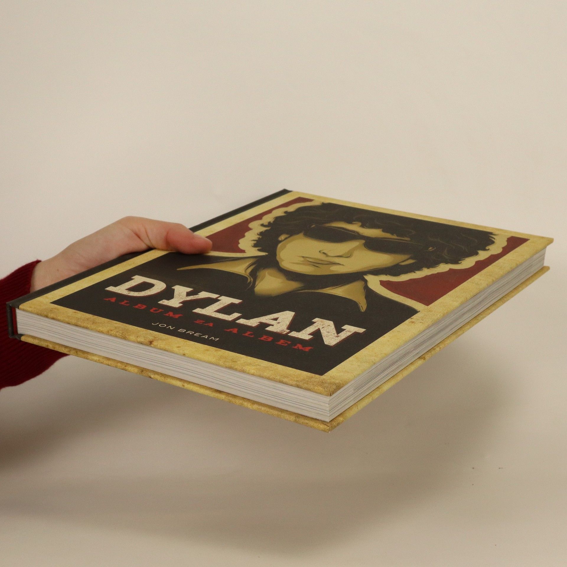 Jon Bream Dylan: Album za albem