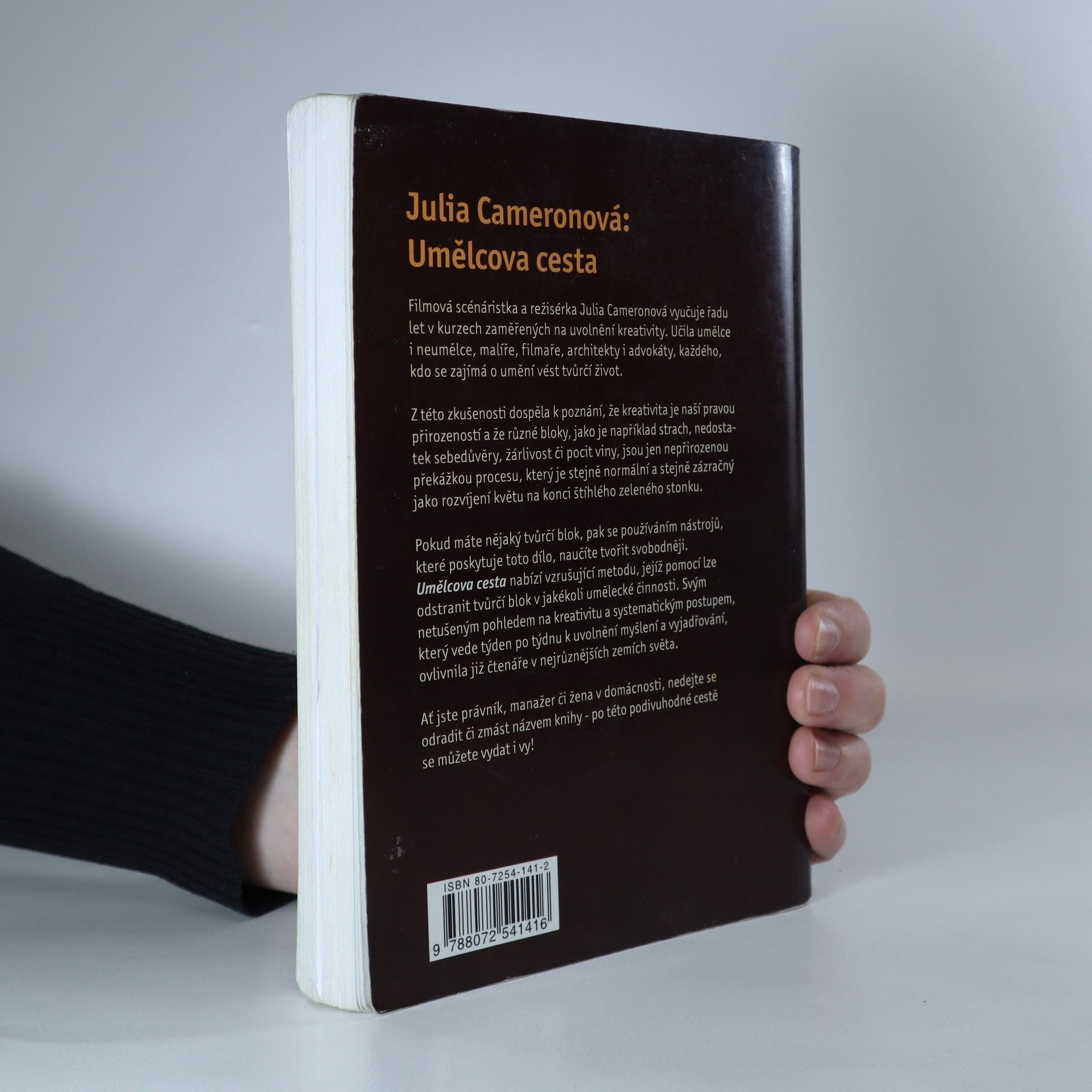 Julia Cameron Umělcova cesta
