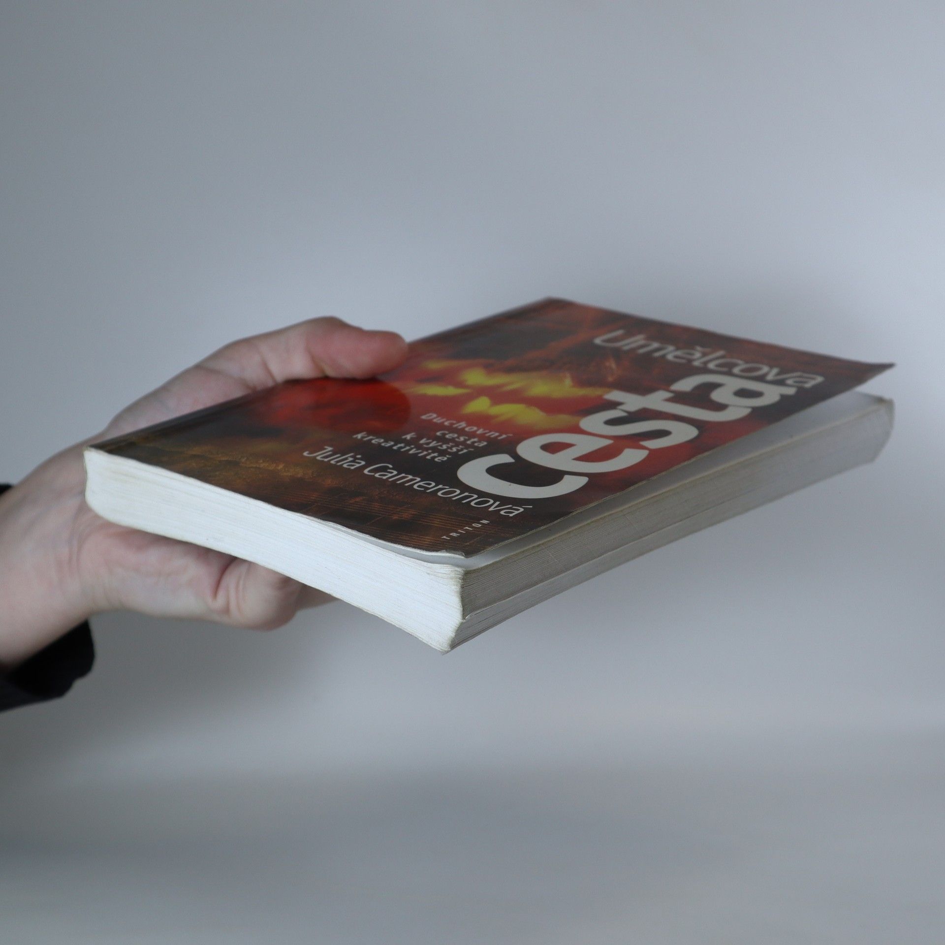 Julia Cameron Umělcova cesta