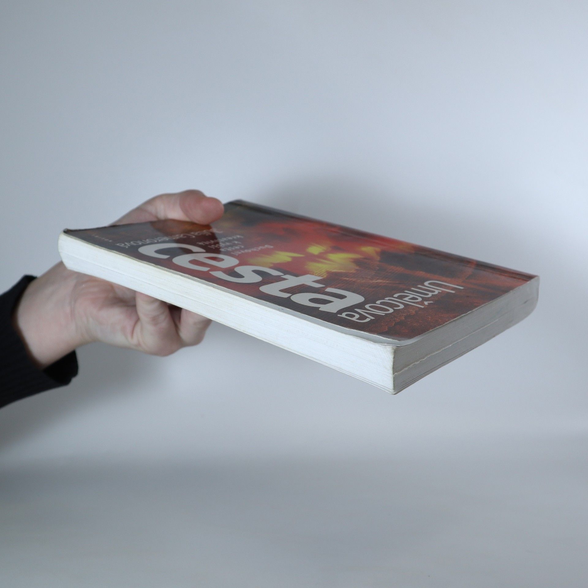 Julia Cameron Umělcova cesta