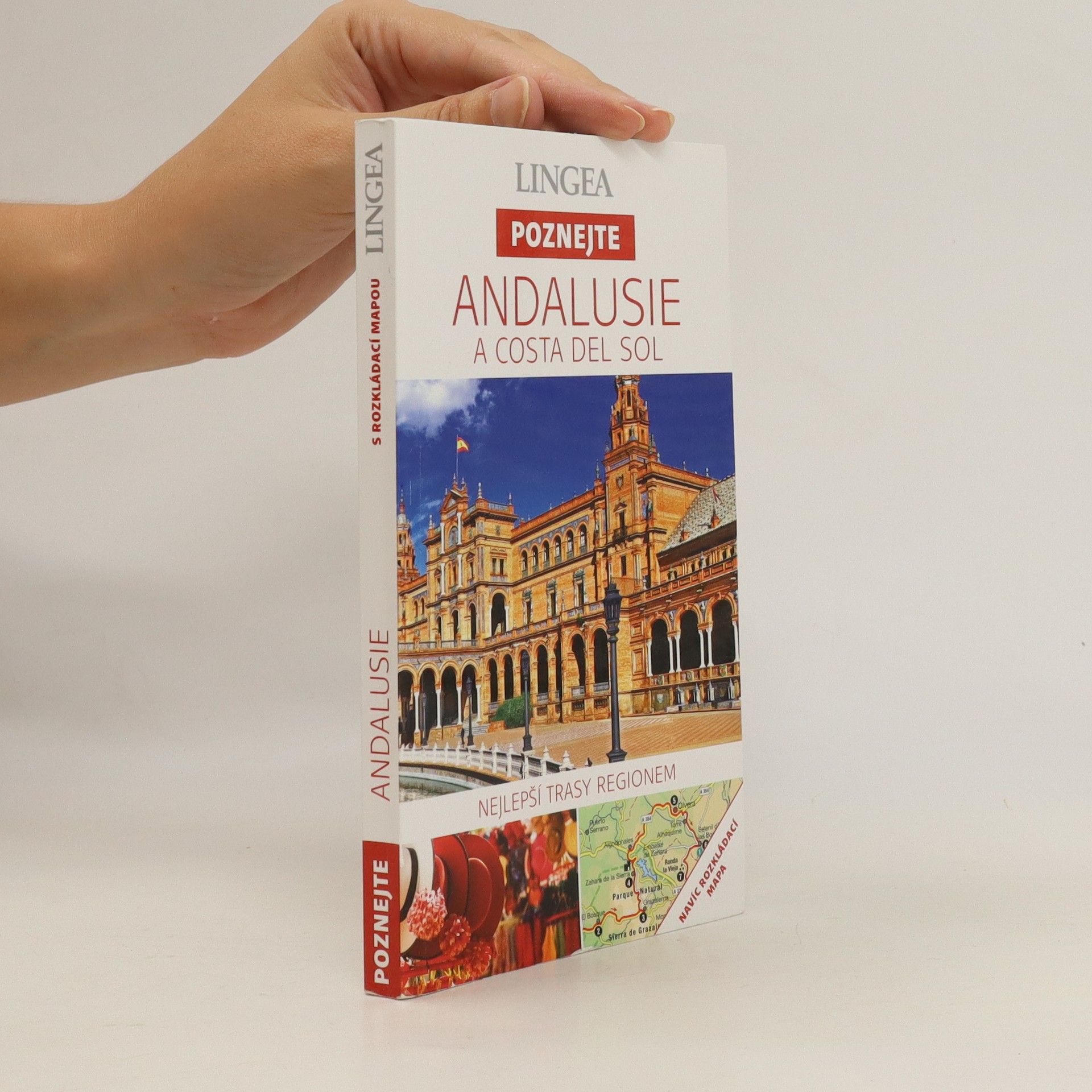 Collectif d'auteurs Andalusie a Costa del Sol