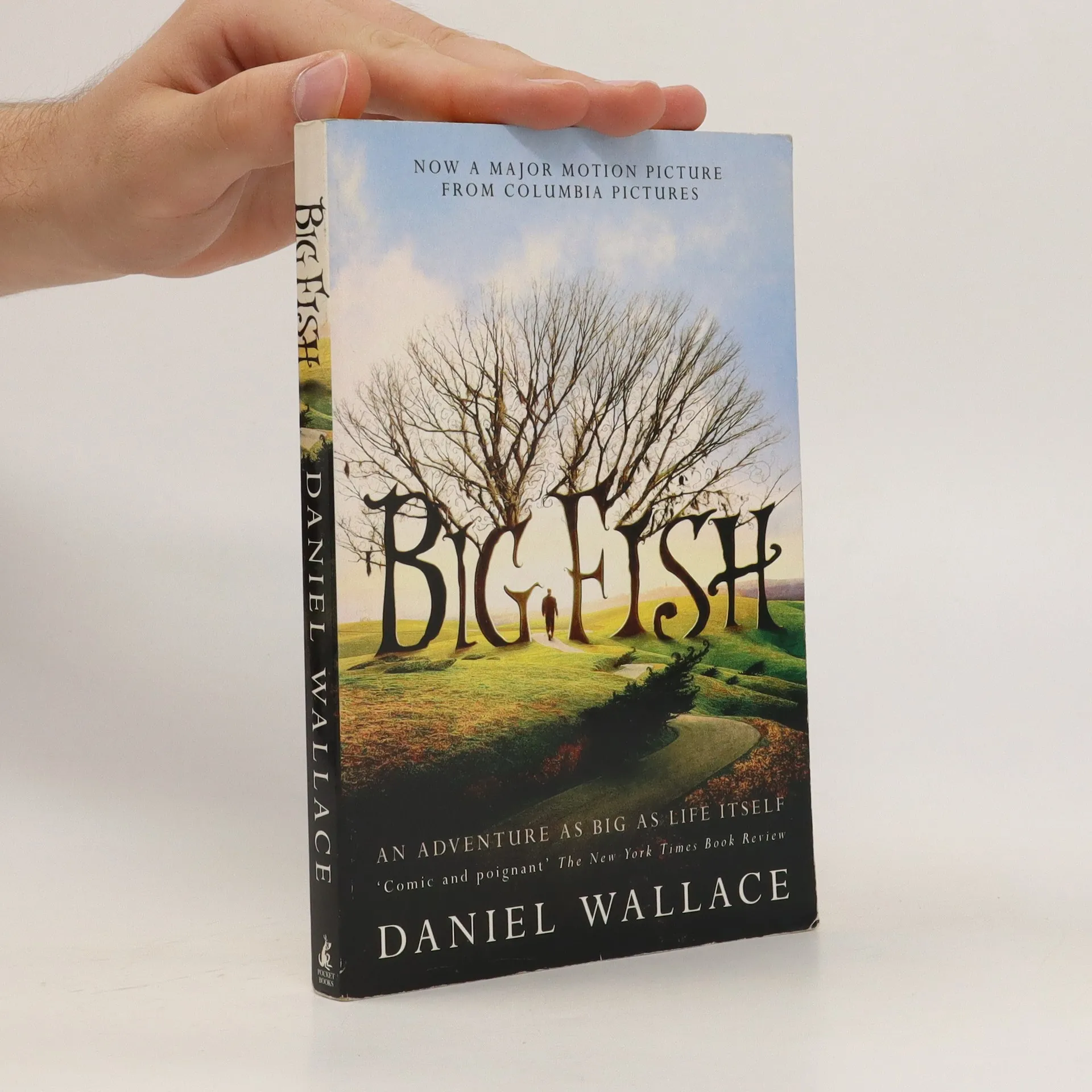 Big Fish - Daniel Wallace 