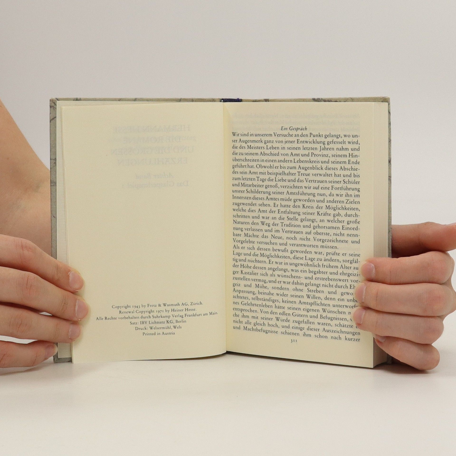 Hermann Hesse Die Romane und die grossen Erzählungen