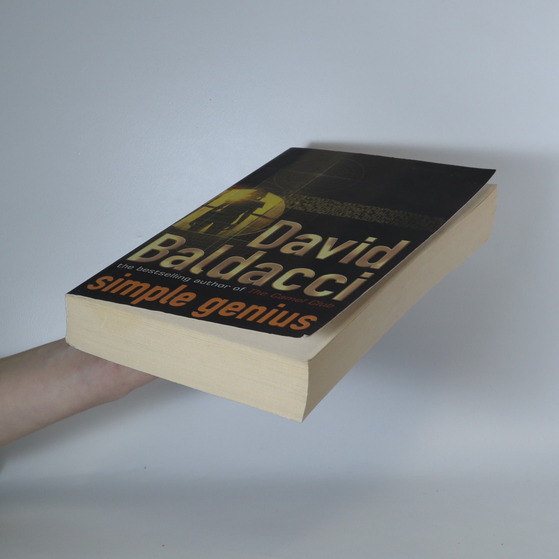 David Baldacci Simple Genius