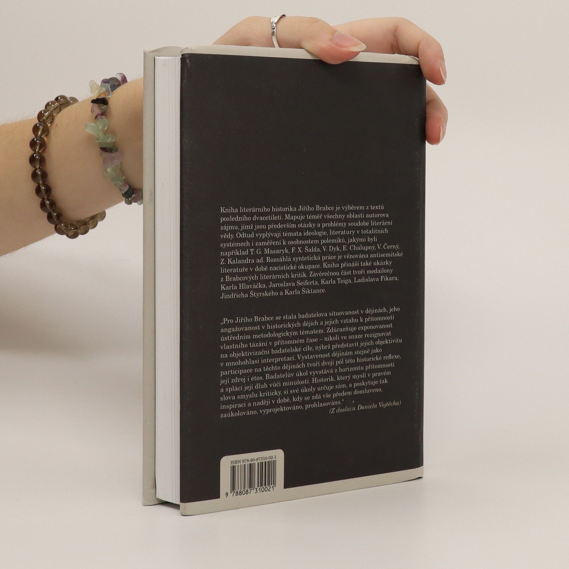 Jiří Brabec Panství ideologie a moc literatury - Studie, kritiky, portréty (1991–2008)