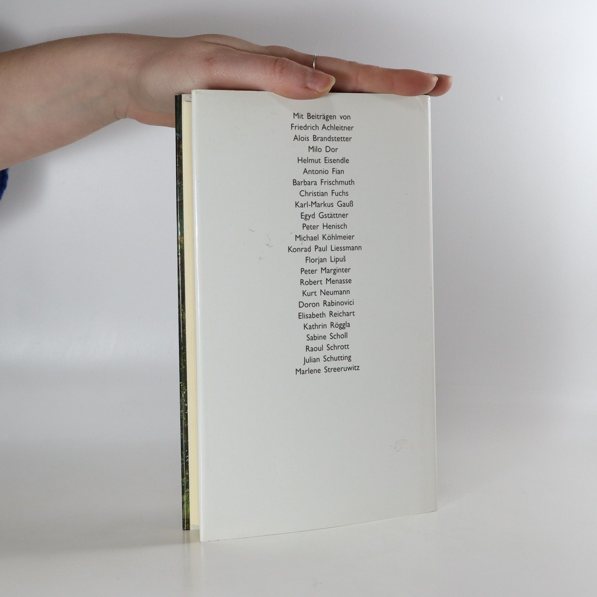 Angelika Klammer Österreich, Europa, die Zeit und die Welt: Beobachtet von Schriftstellerinnen und Schriftstellern aus Österreich