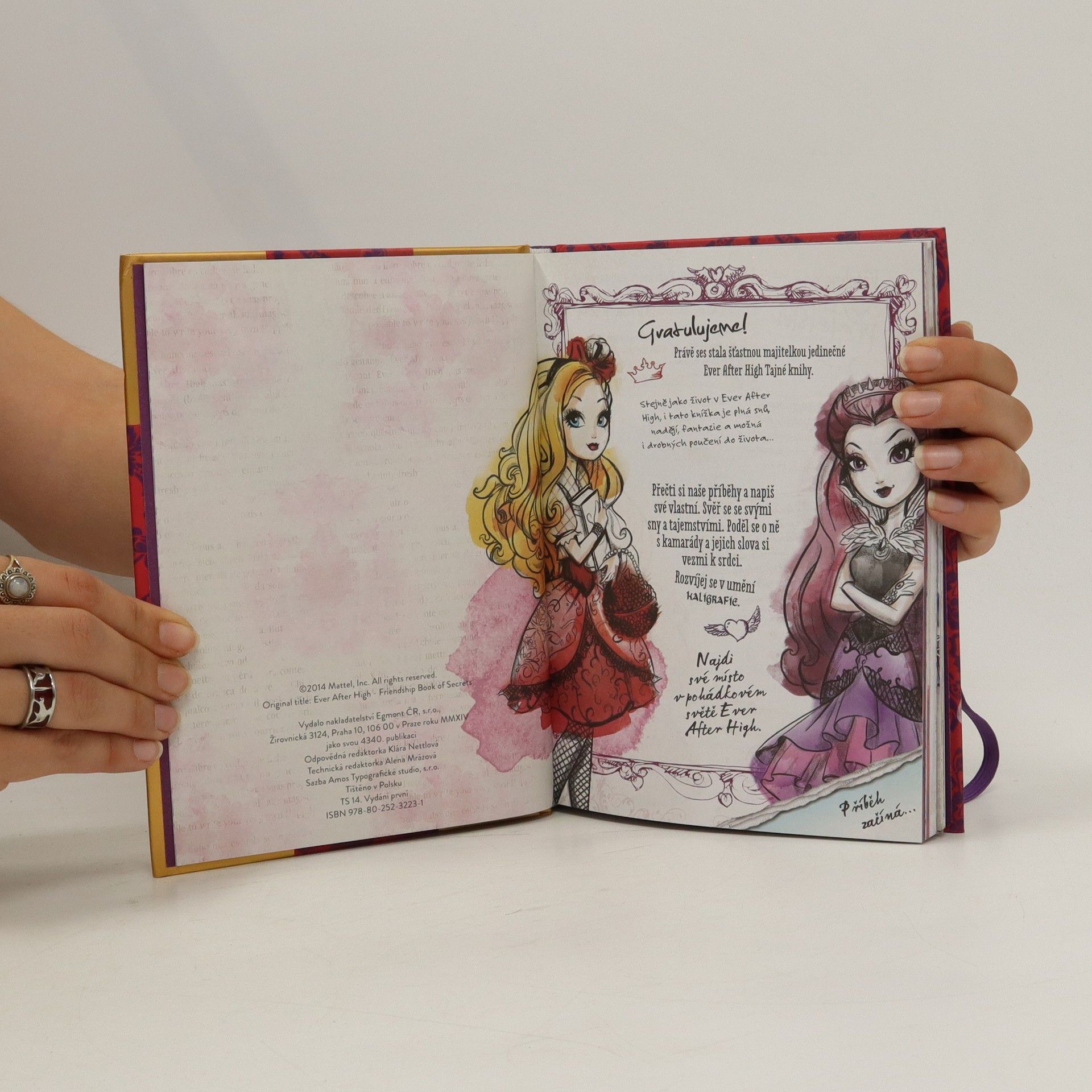 Kolektív autorov Ever After High - Tajná kniha o přátelství