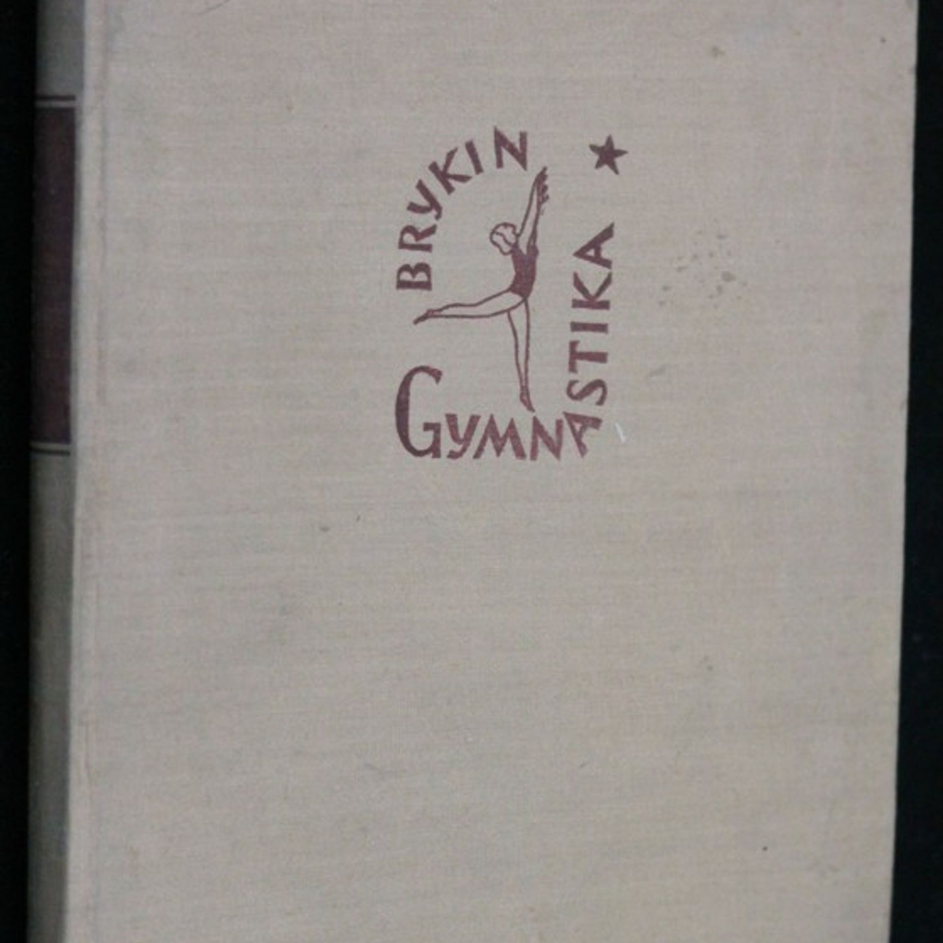 A. T. Brykin Gymnastika