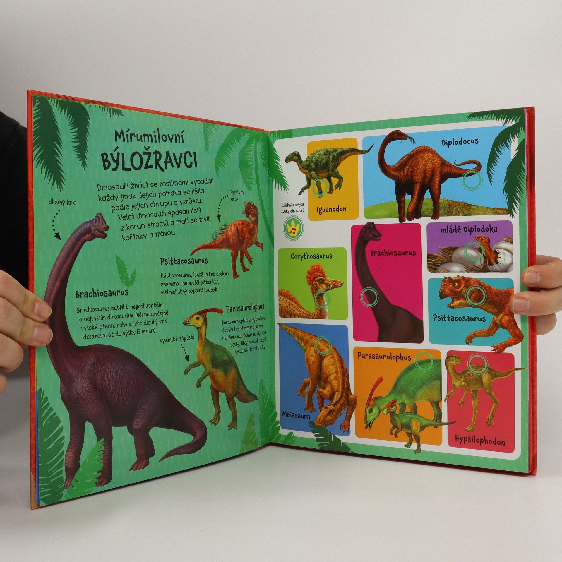 Autorenkollektiv Zvuky dinosaurů : velká zvuková kniha Velká zvuková kniha - zvuky dinosaurů