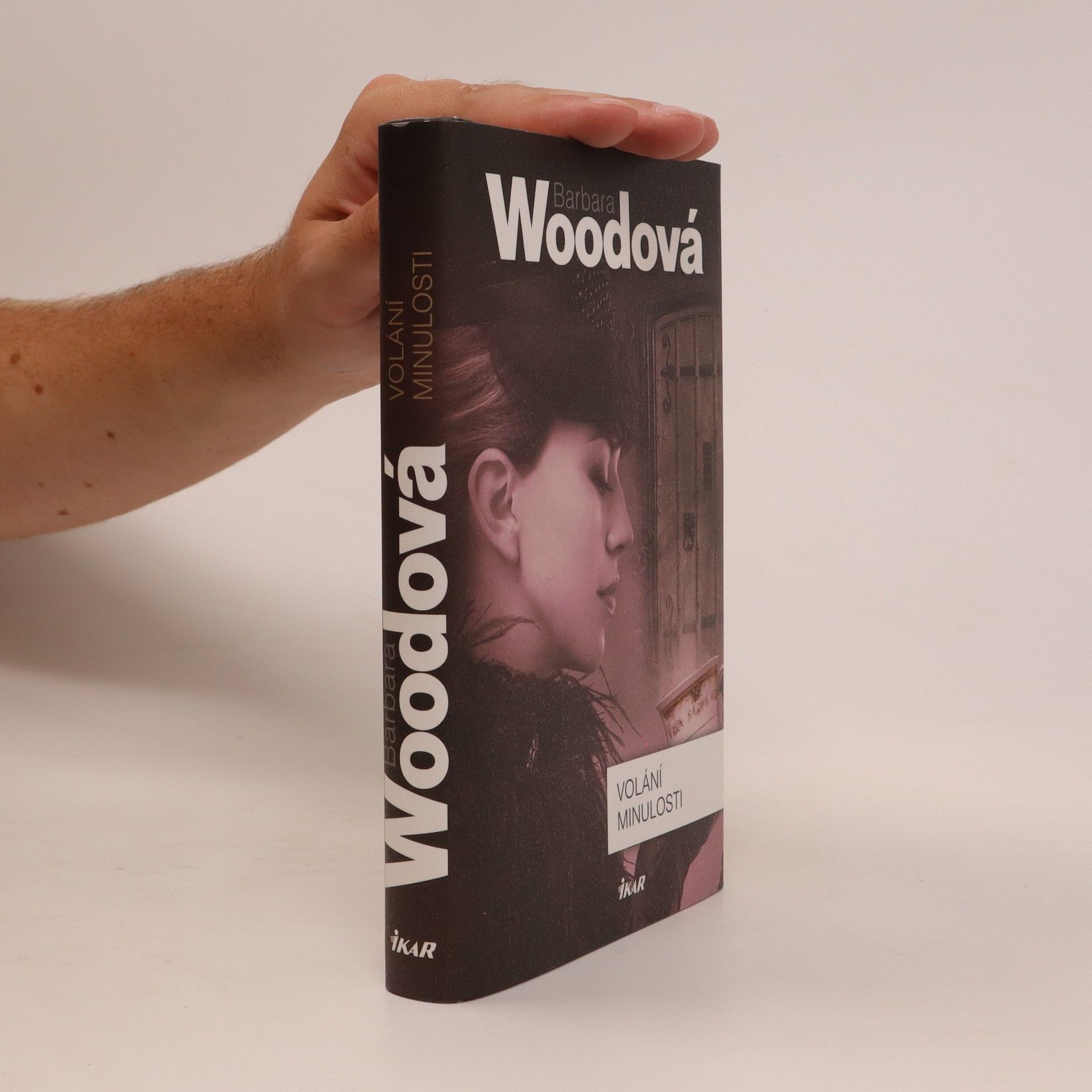 Barbara Wood Volání minulosti