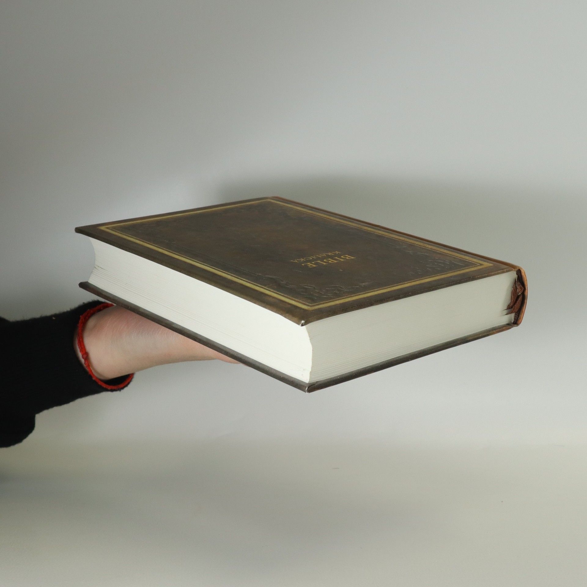 Collectif d'auteurs Bible kralická