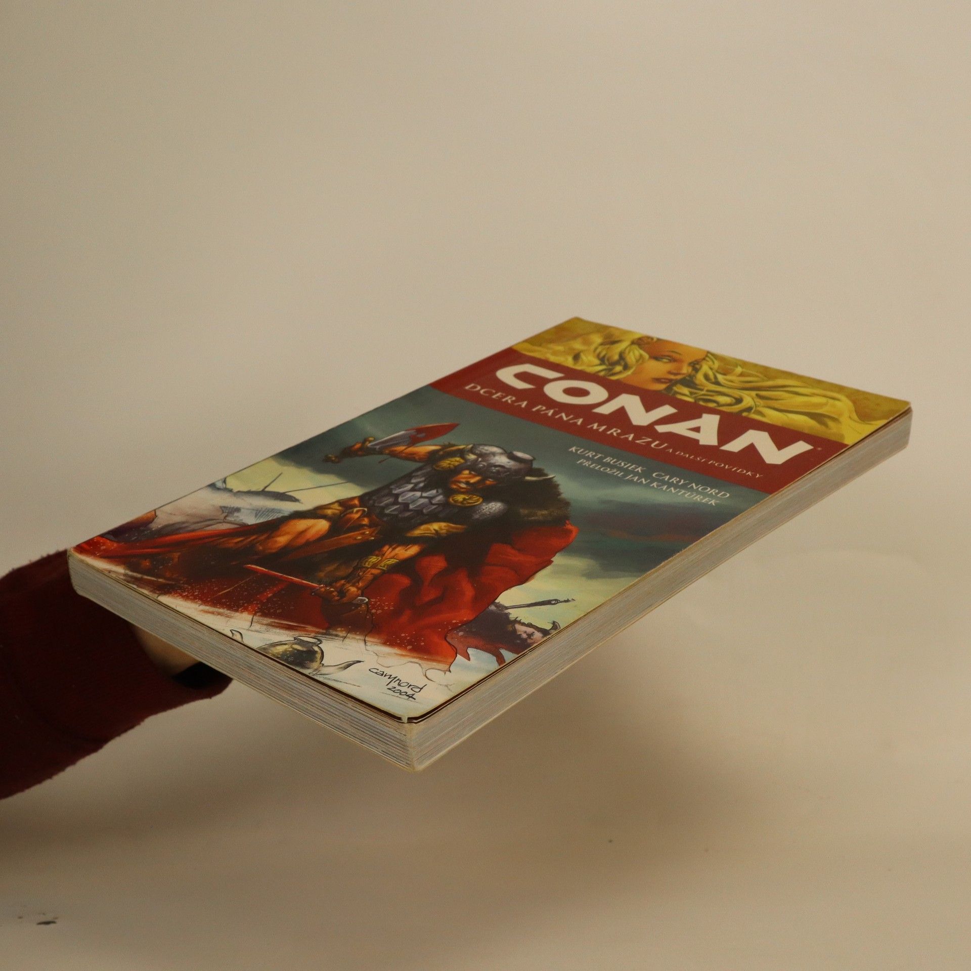 Kurt Busiek Conan: Dcera pána mrazu a další povídky