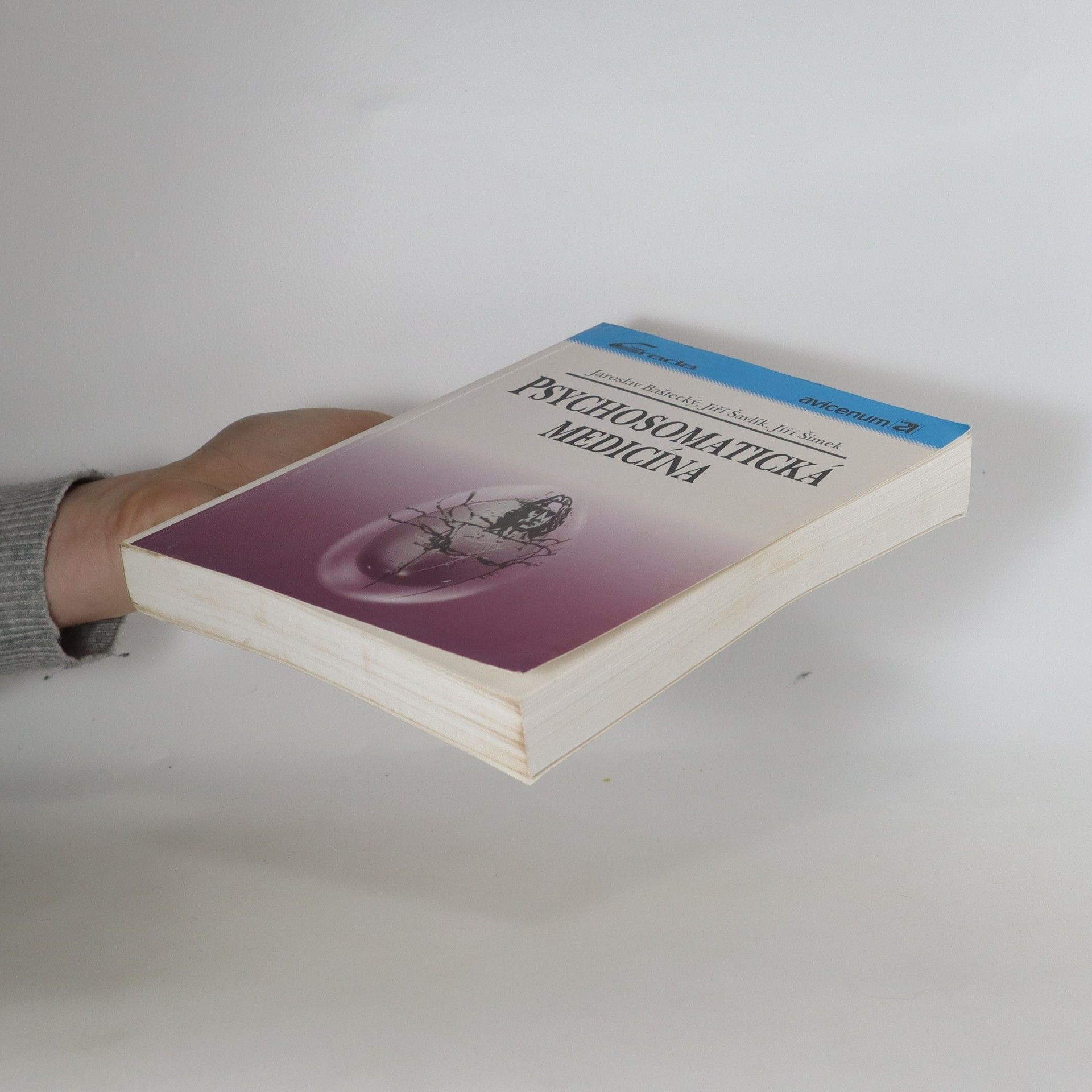 Autores varios Psychosomatická medicína