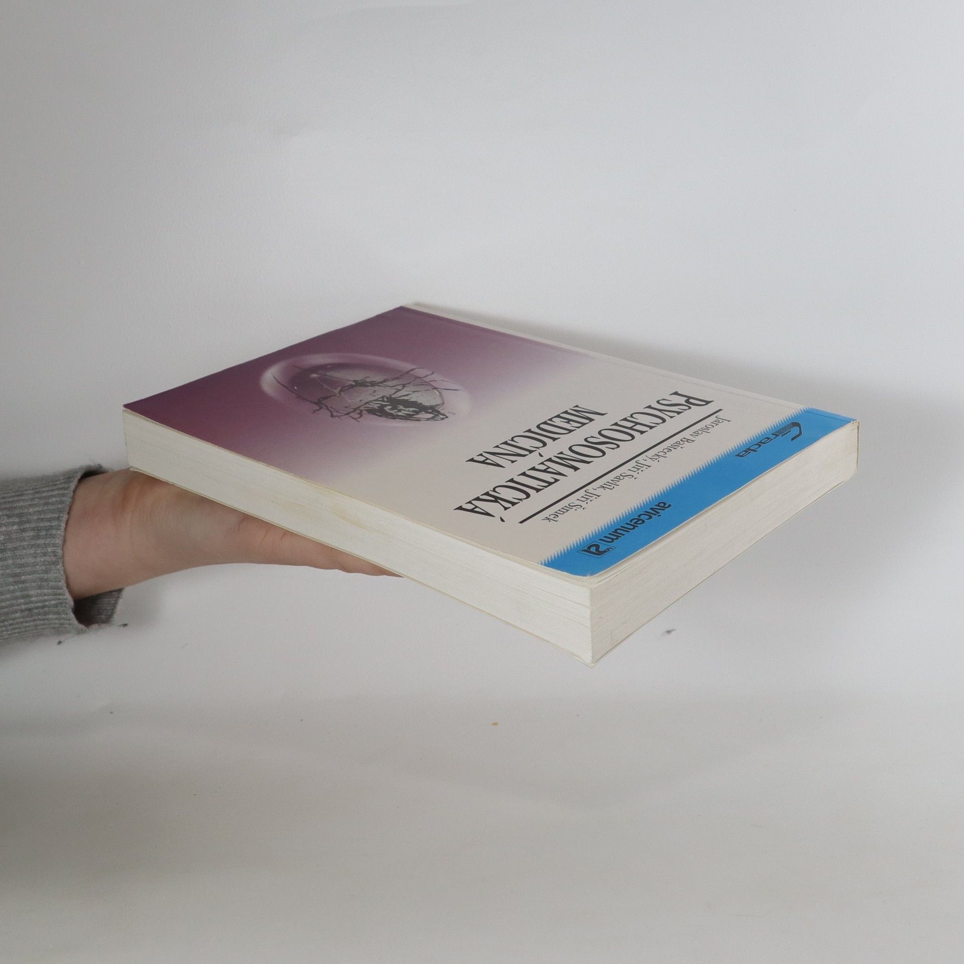 Autores varios Psychosomatická medicína