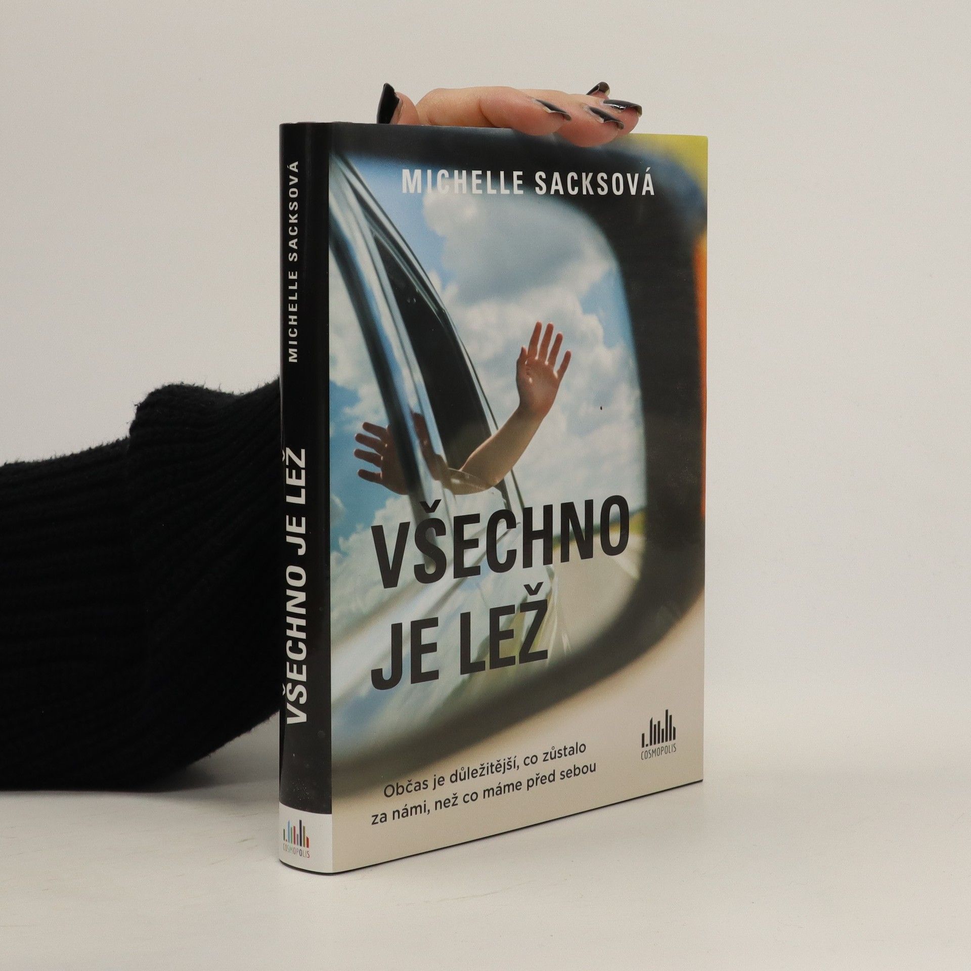 Michelle Sacks Všechno je lež