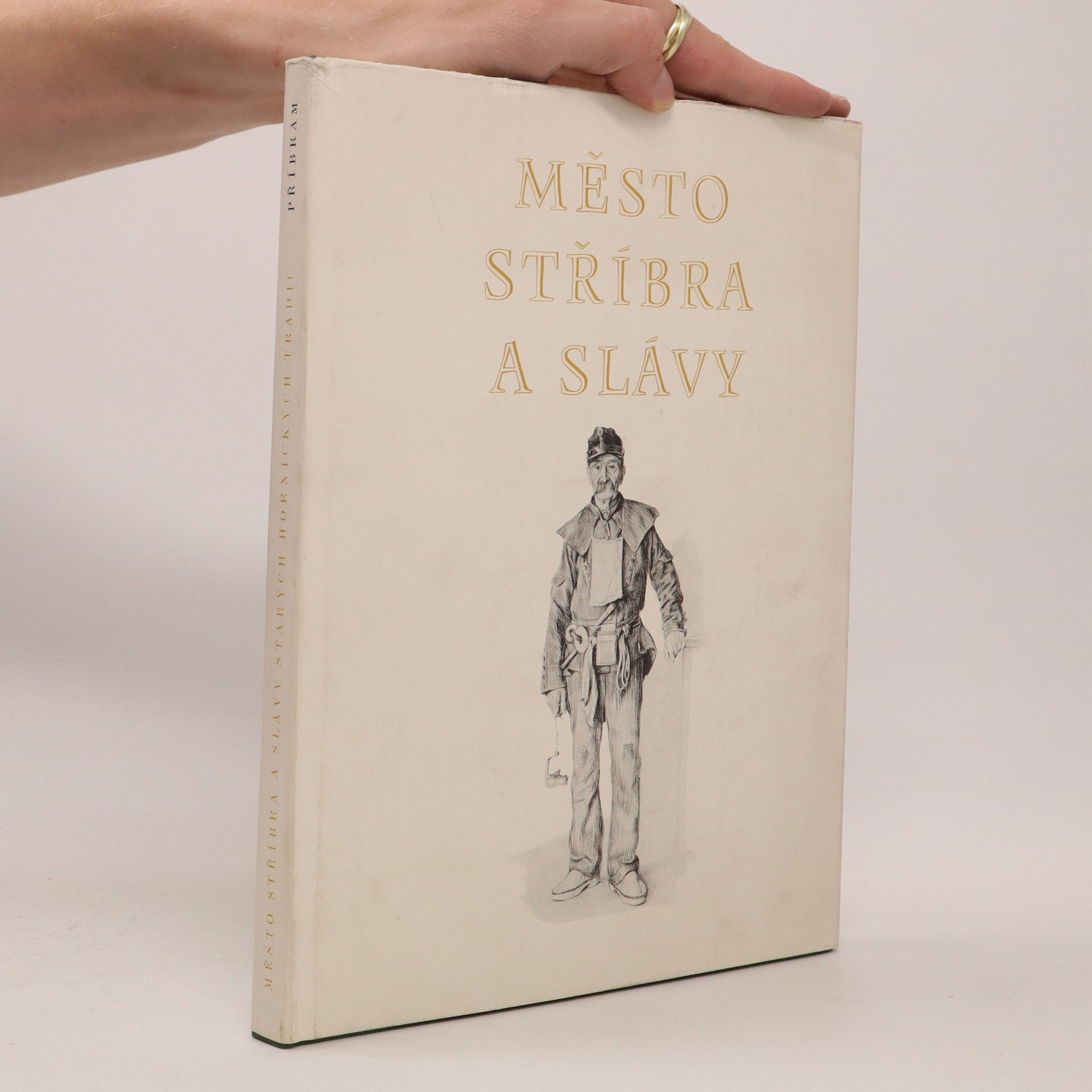 Autorenkollektiv Město stříbra a slávy