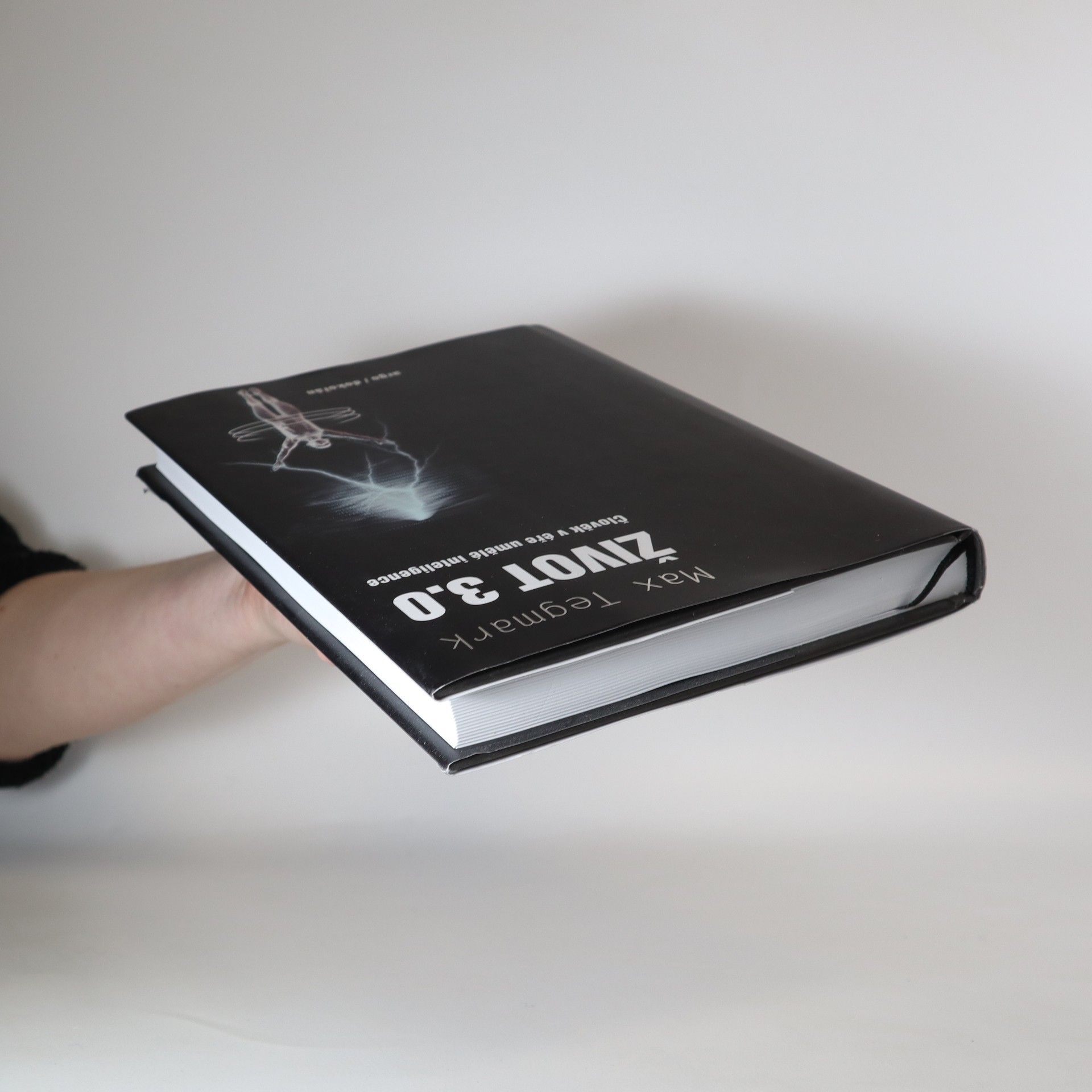 Max Tegmark Život 3.0 : člověk v éře umělé inteligence