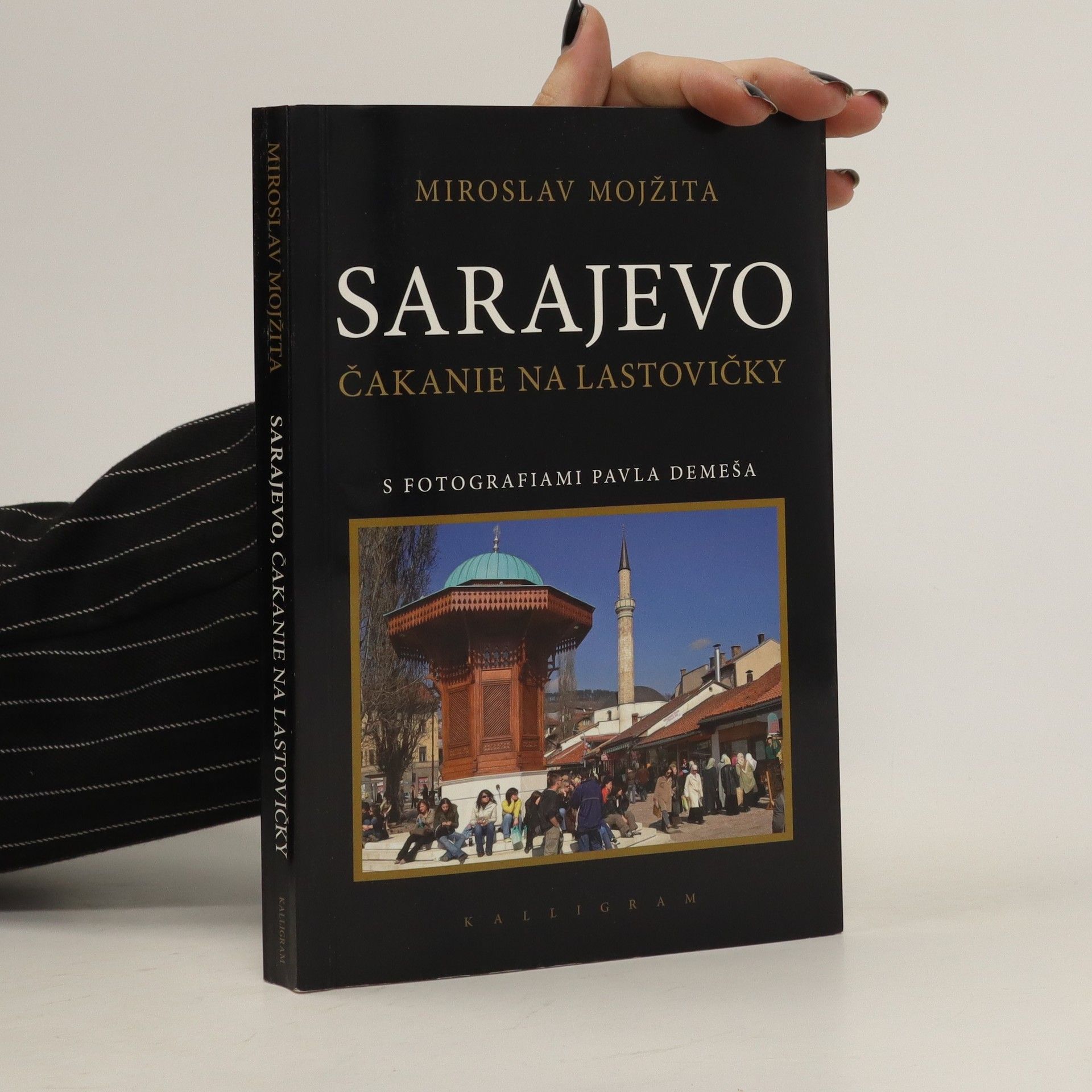 Pavol Demeš Sarajevo