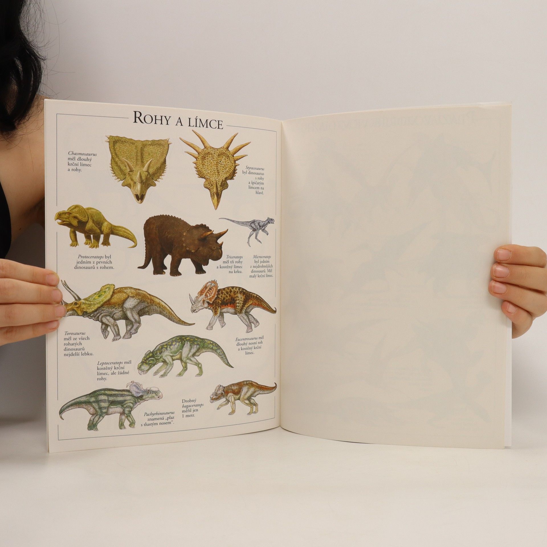 Various authors Dinosauři. Samolepková knížka