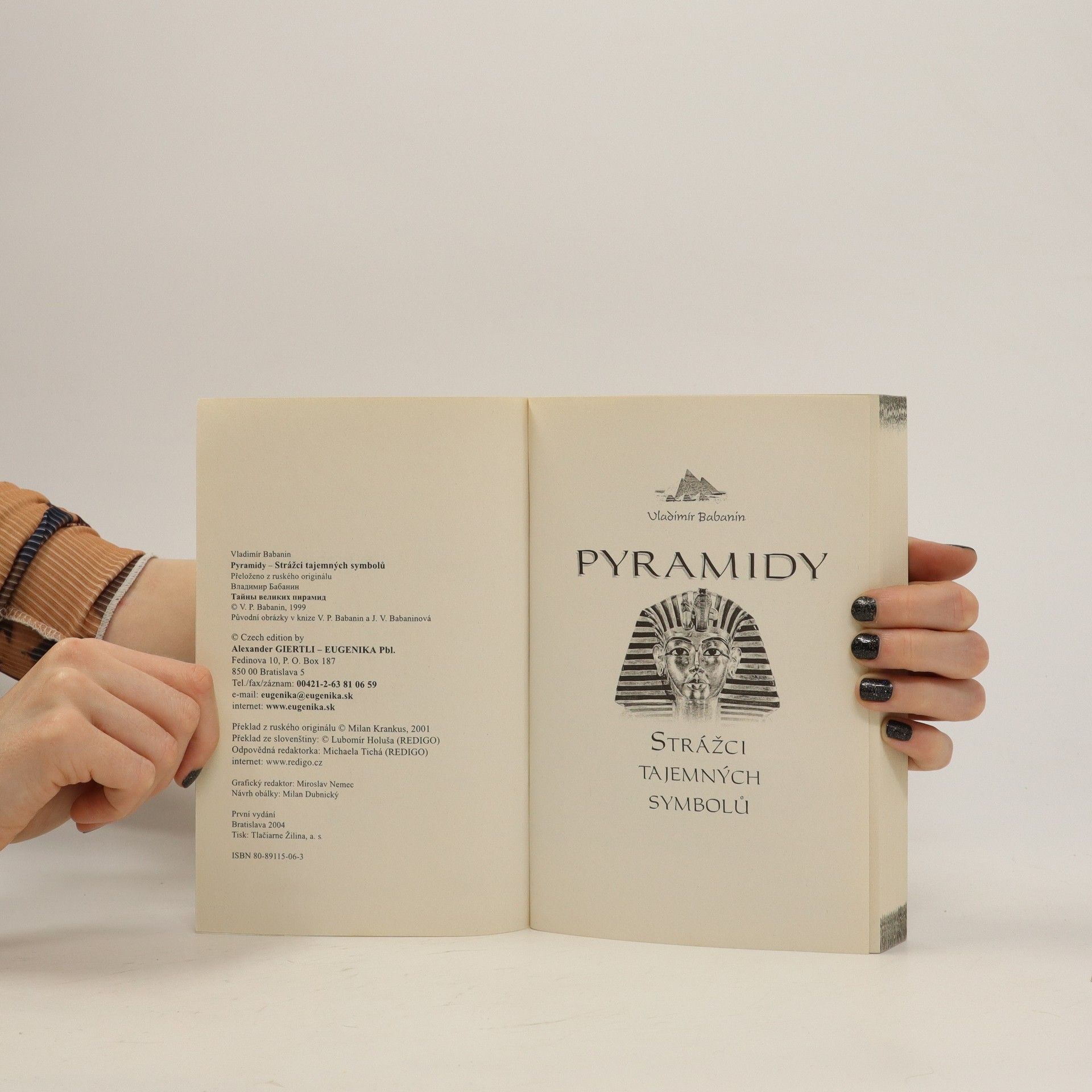 Vladimir Petrovič Babanin Pyramidy. Strážci tajemných symbolů