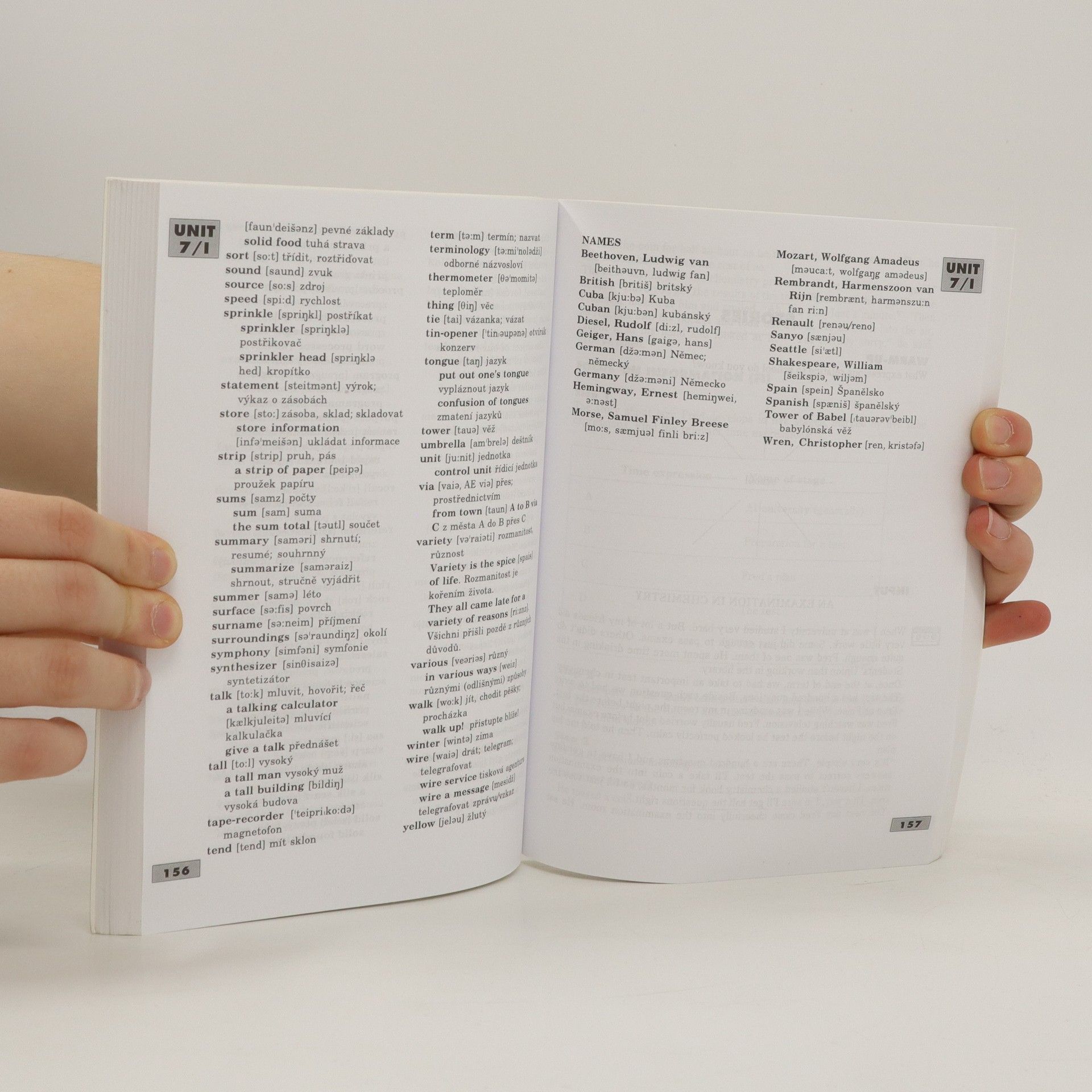Strnadová Zdenka Professional English Book 1